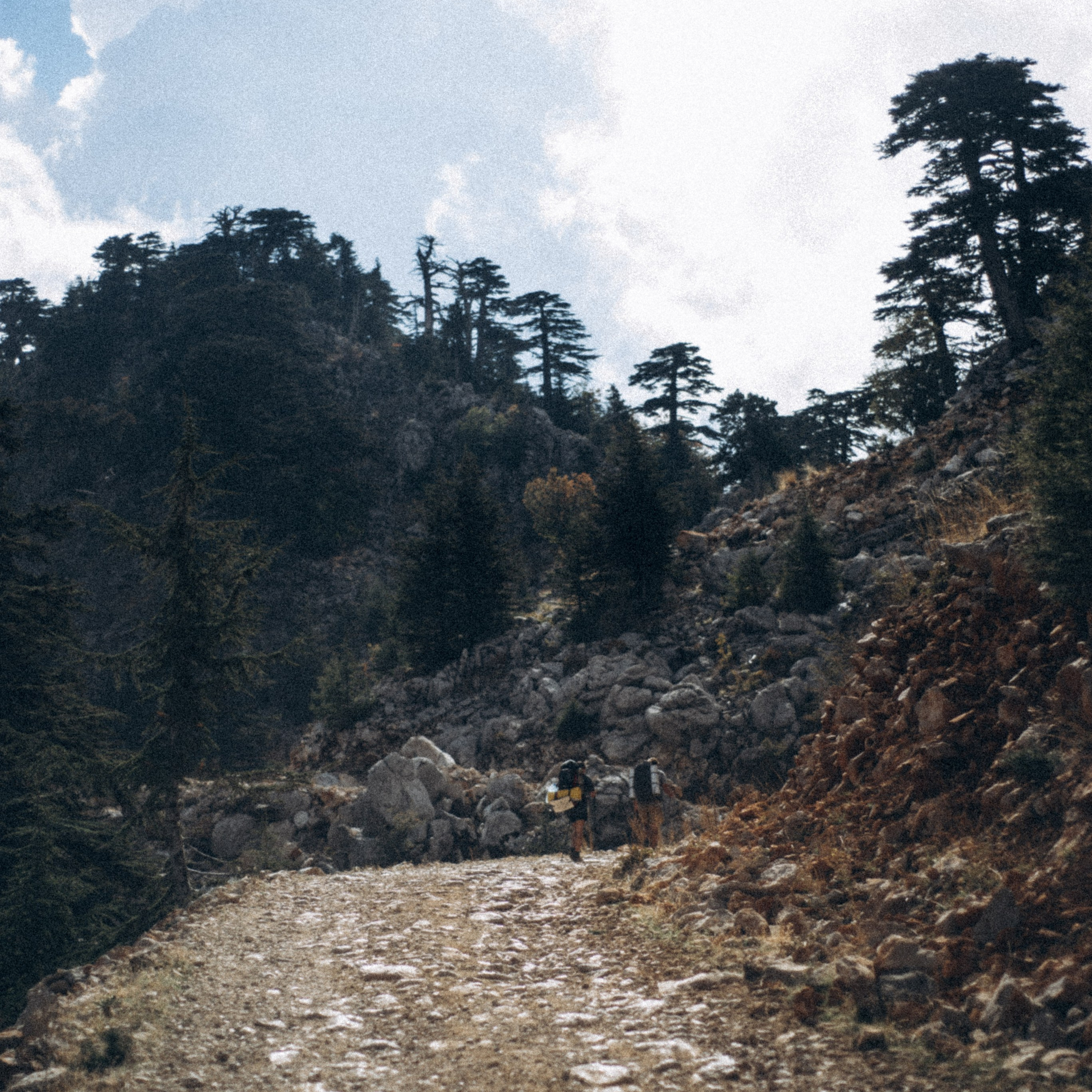 Ликийская Тропа 🇹🇷 Восточная Часть. Anita_photo