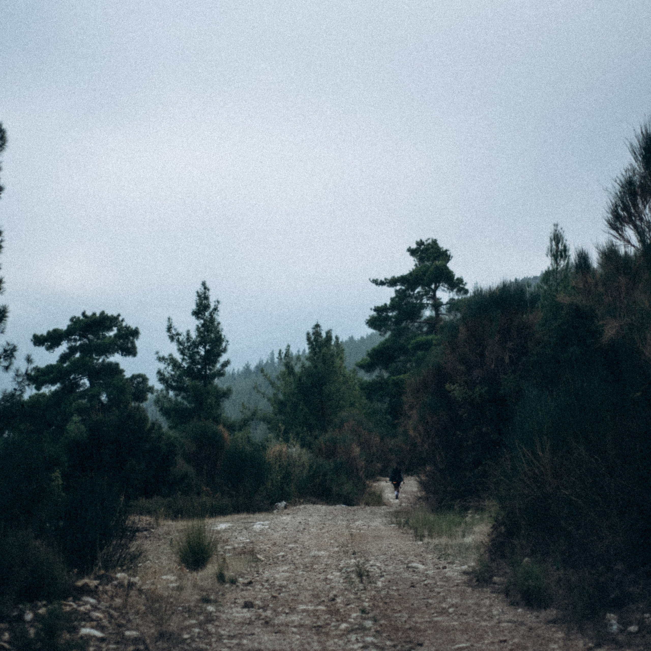 Ликийская Тропа 🇹🇷 Восточная Часть. Anita_photo