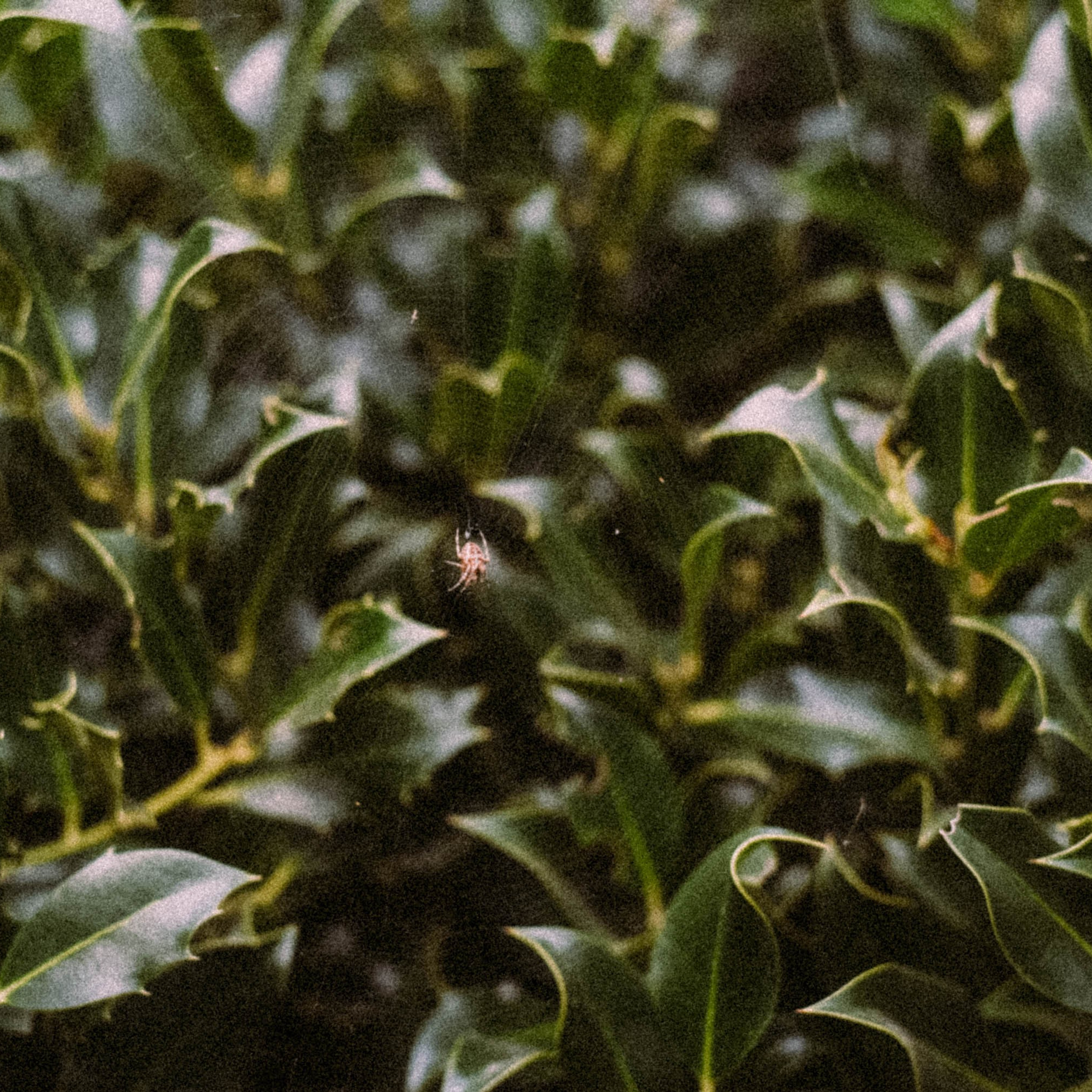 Нормандия, Франция 2025. Anita_photo