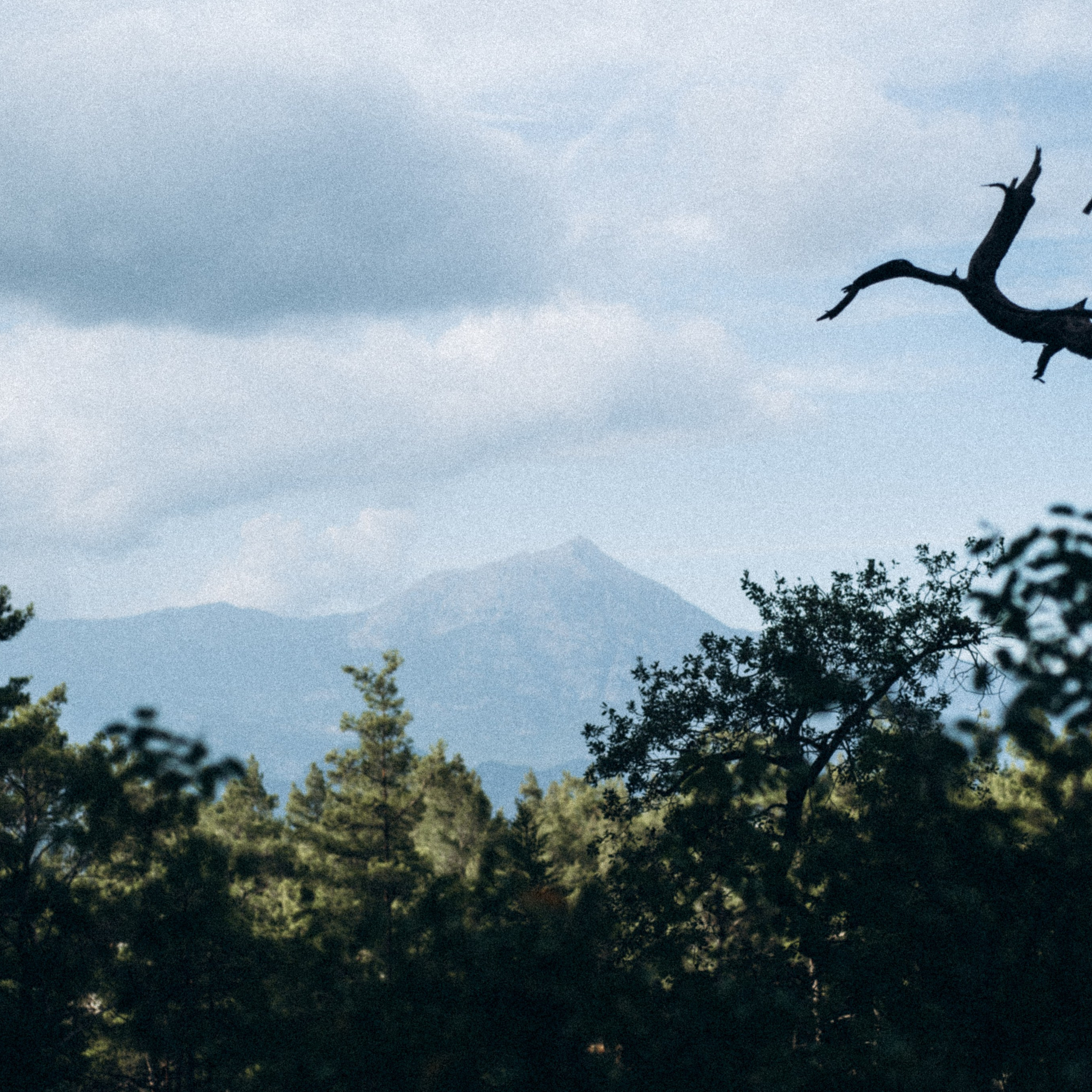 Ликийская Тропа 🇹🇷 Восточная Часть. Anita_photo