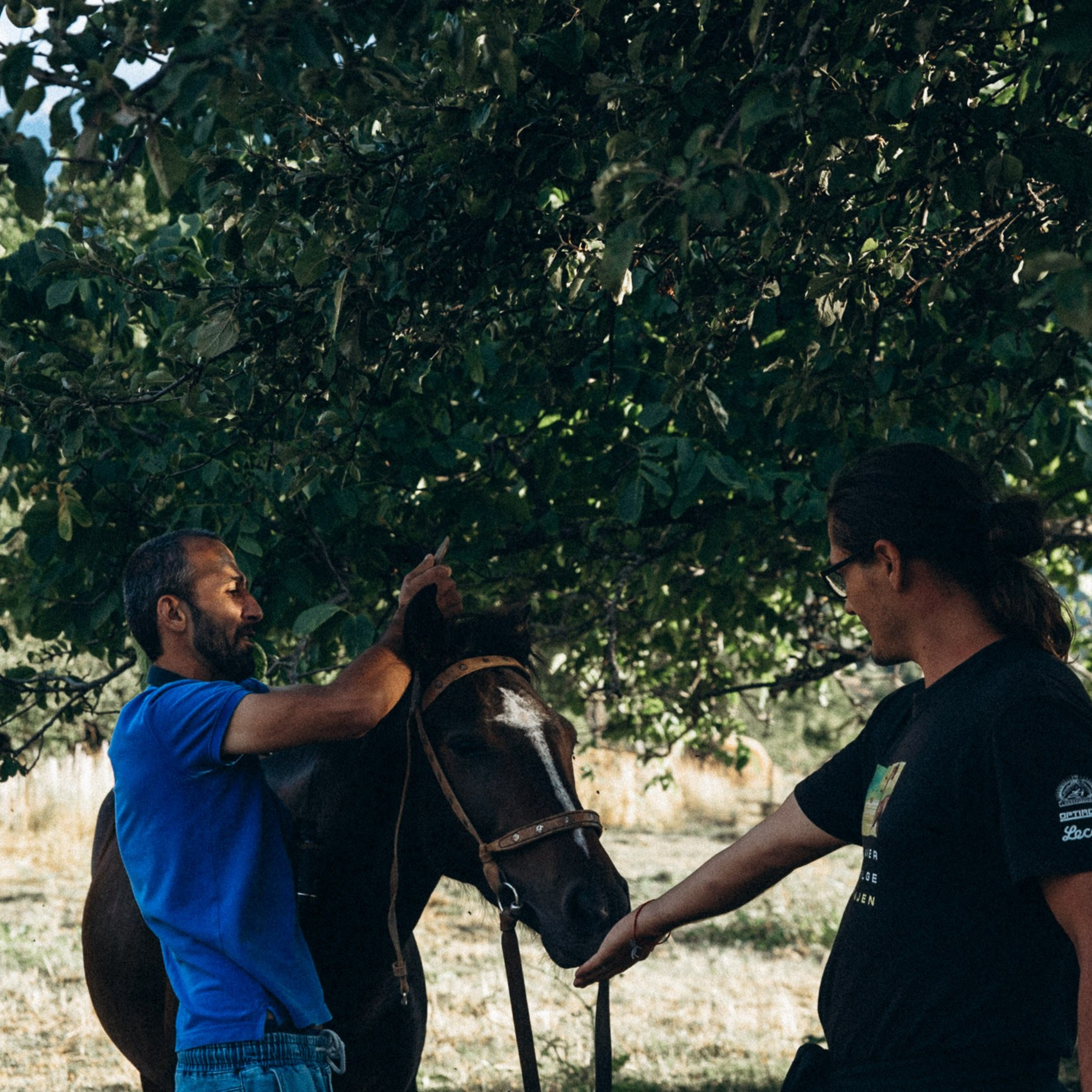 Сванетия, Грузия 🇬🇪. Anita_photo