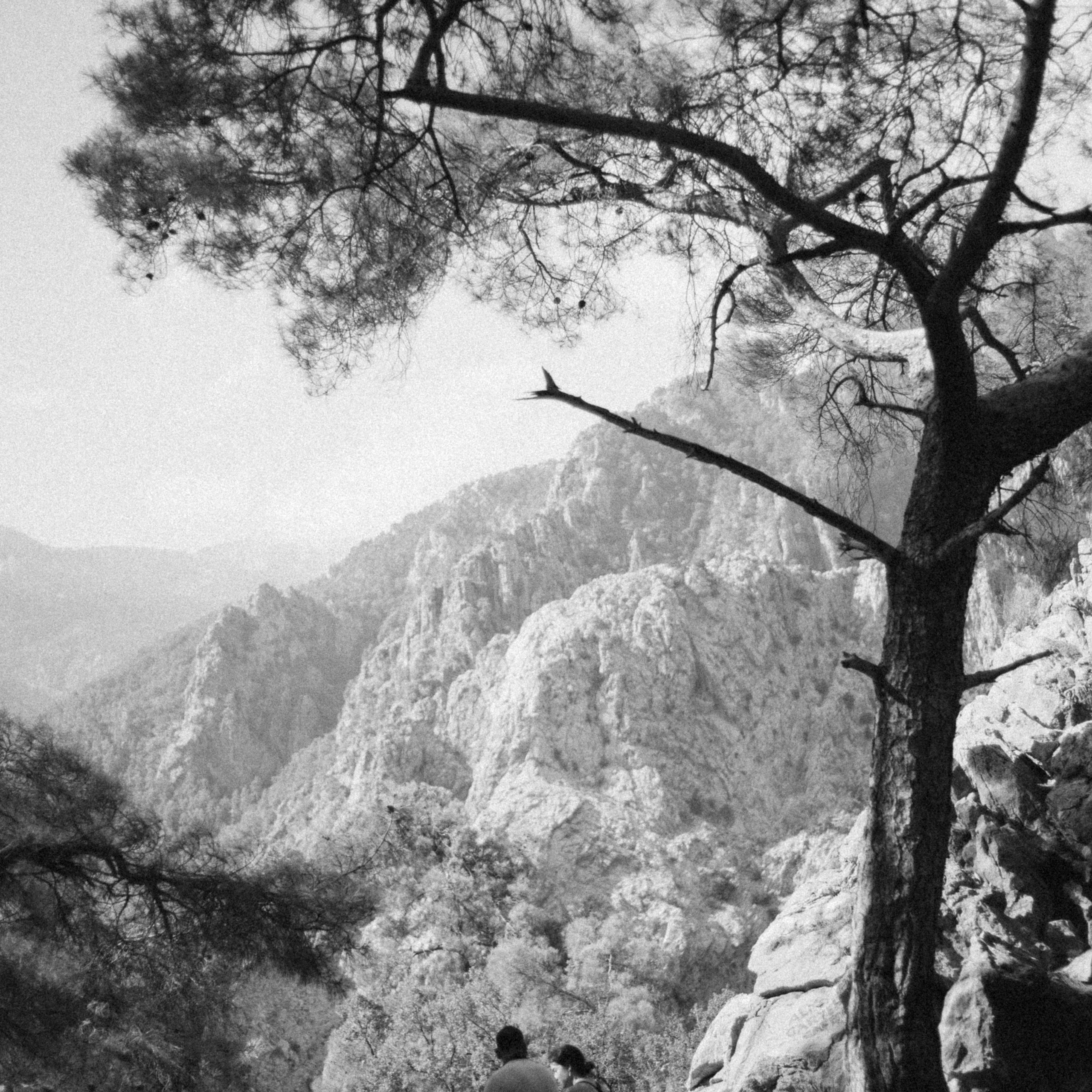 Ликийская Тропа 🇹🇷 Восточная Часть. Anita_photo