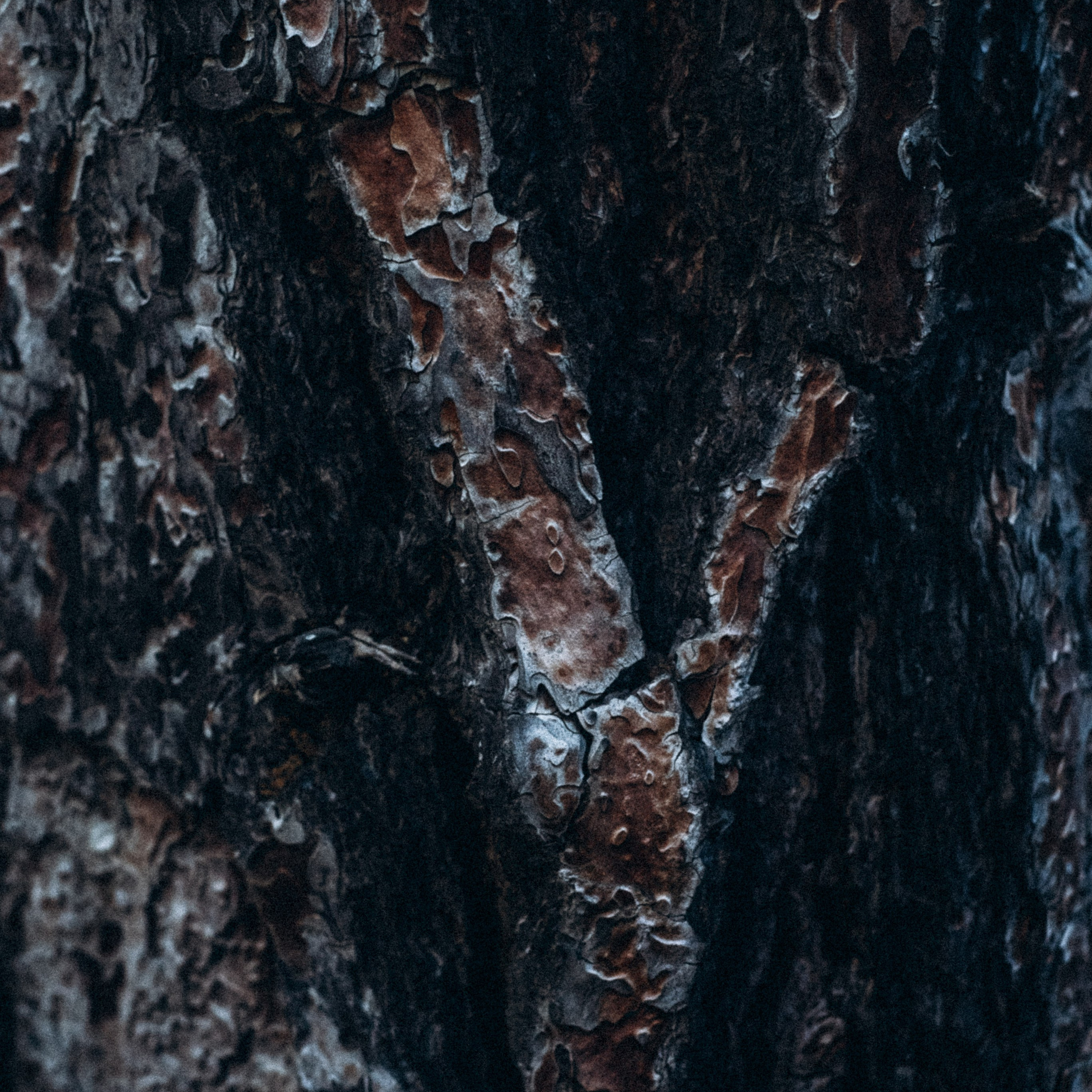 Ликийская Тропа 🇹🇷 Восточная Часть. Anita_photo