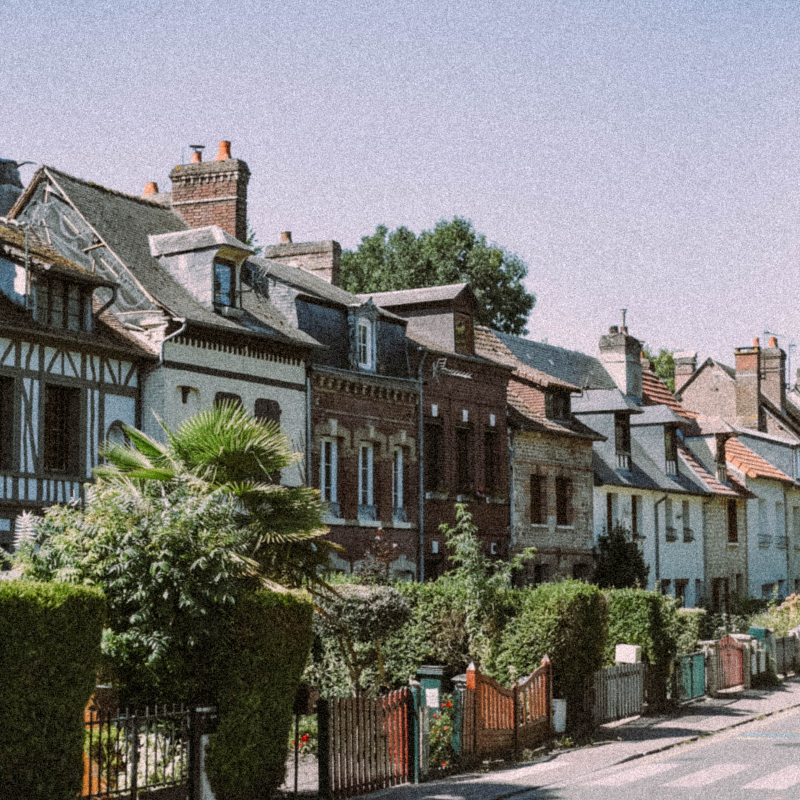 Нормандия, Франция 2025. Anita_photo