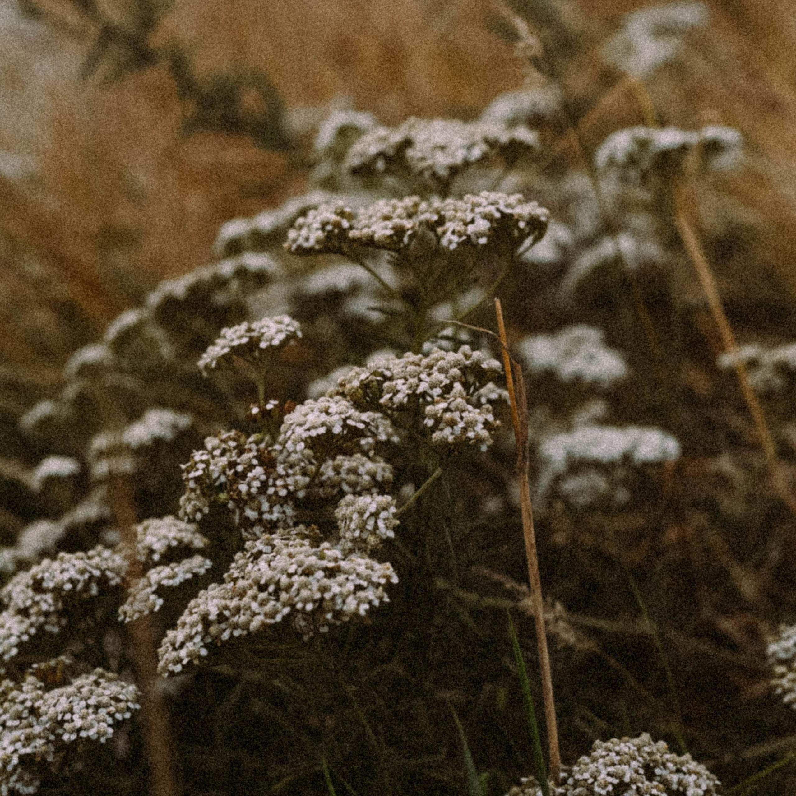 Нормандия, Франция 2025. Anita_photo