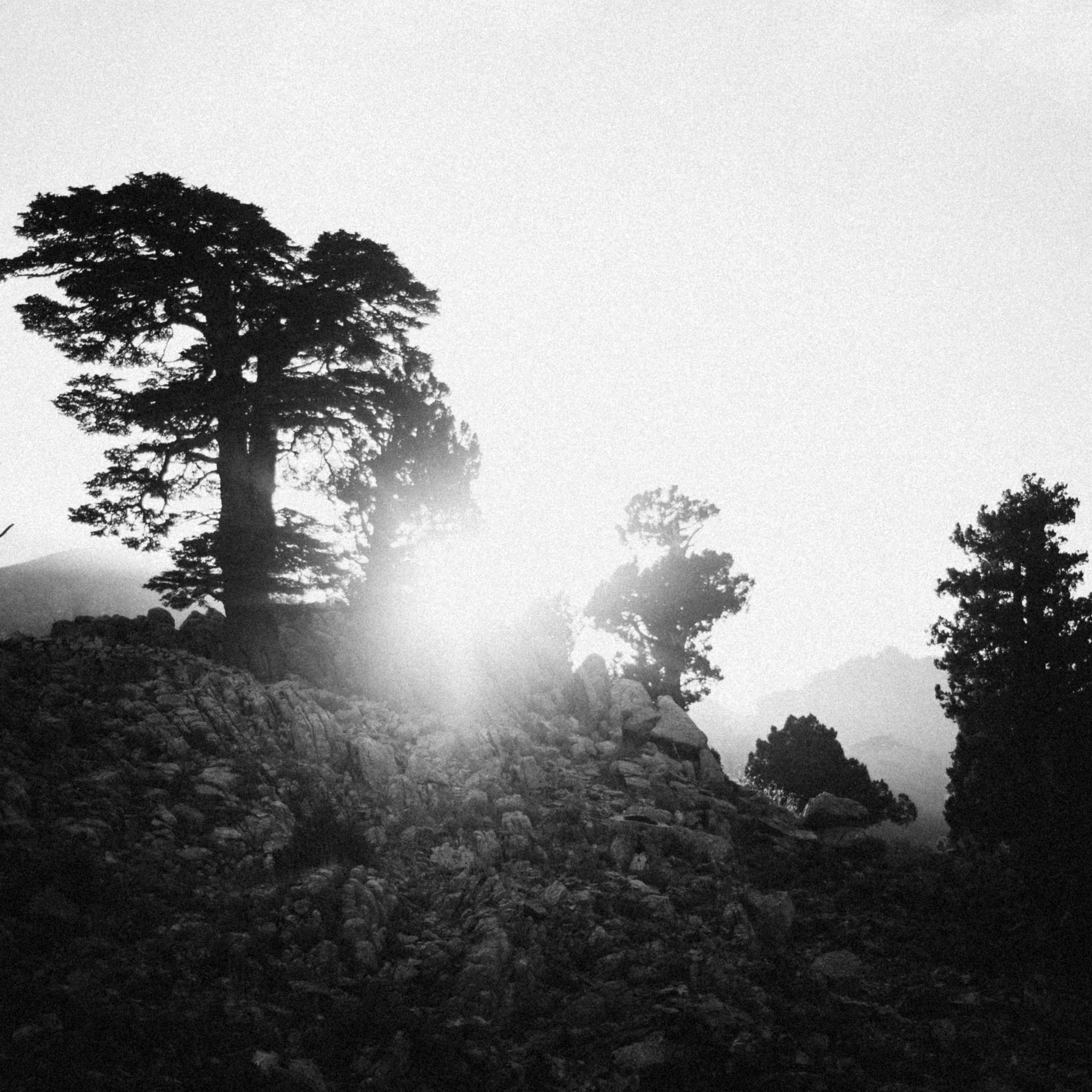 Ликийская Тропа 🇹🇷 Восточная Часть. Anita_photo