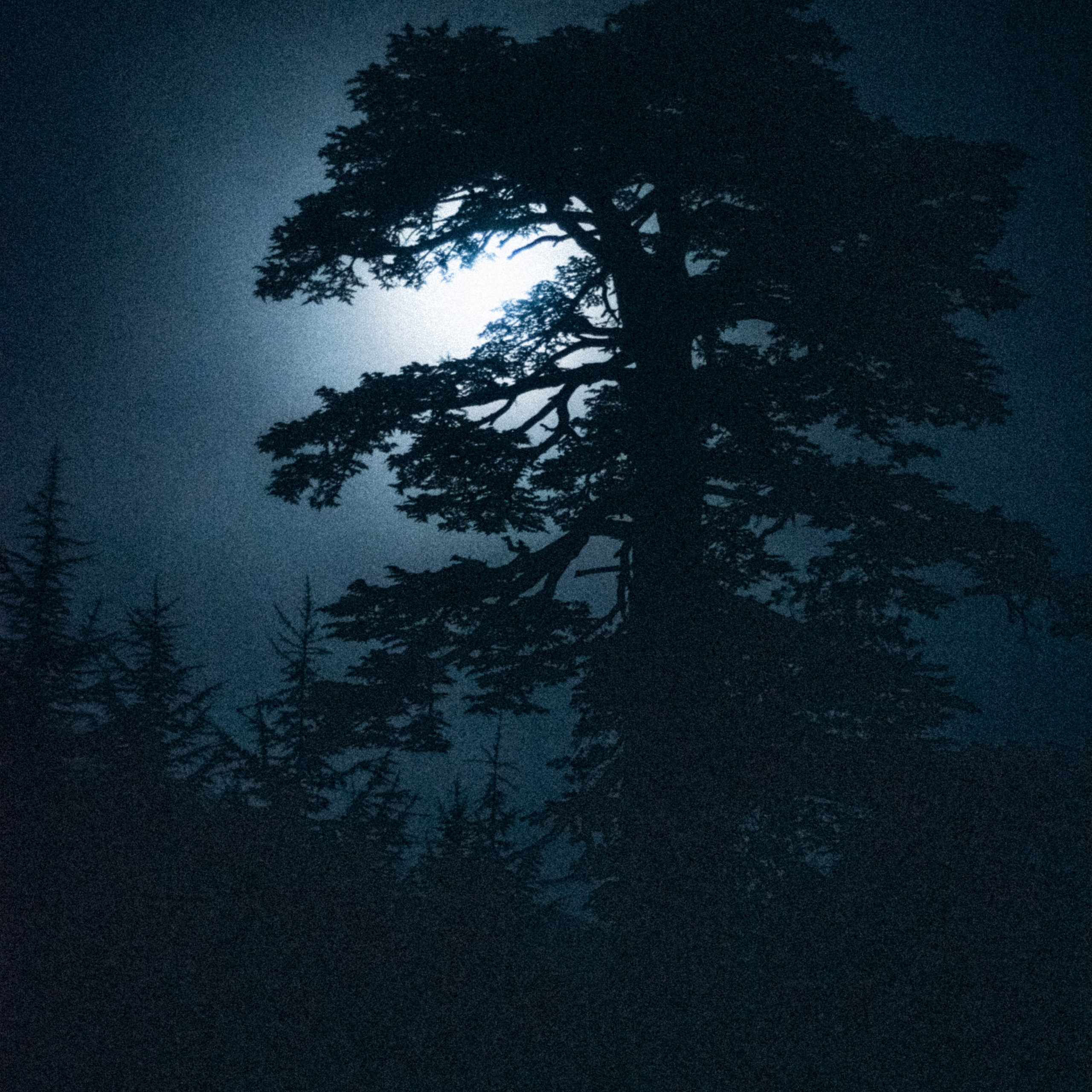 Ликийская Тропа 🇹🇷 Восточная Часть. Anita_photo