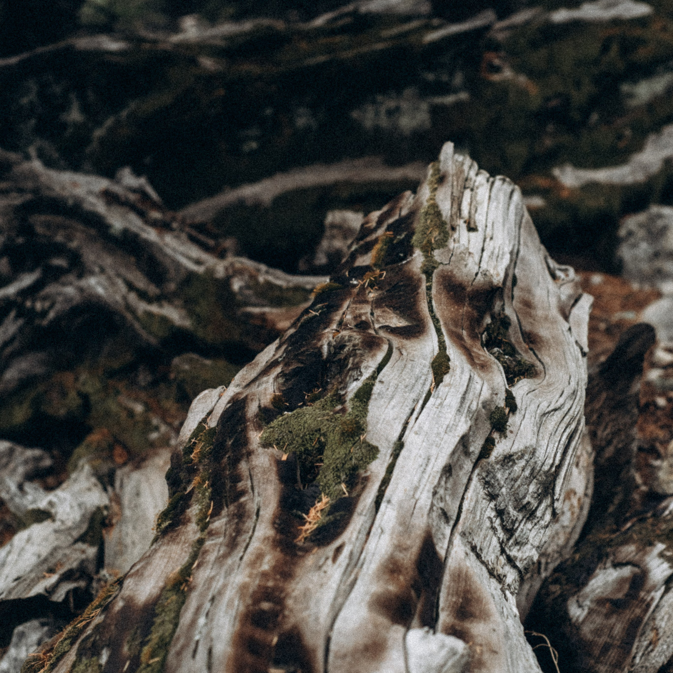 Ликийская Тропа 🇹🇷 Восточная Часть. Anita_photo