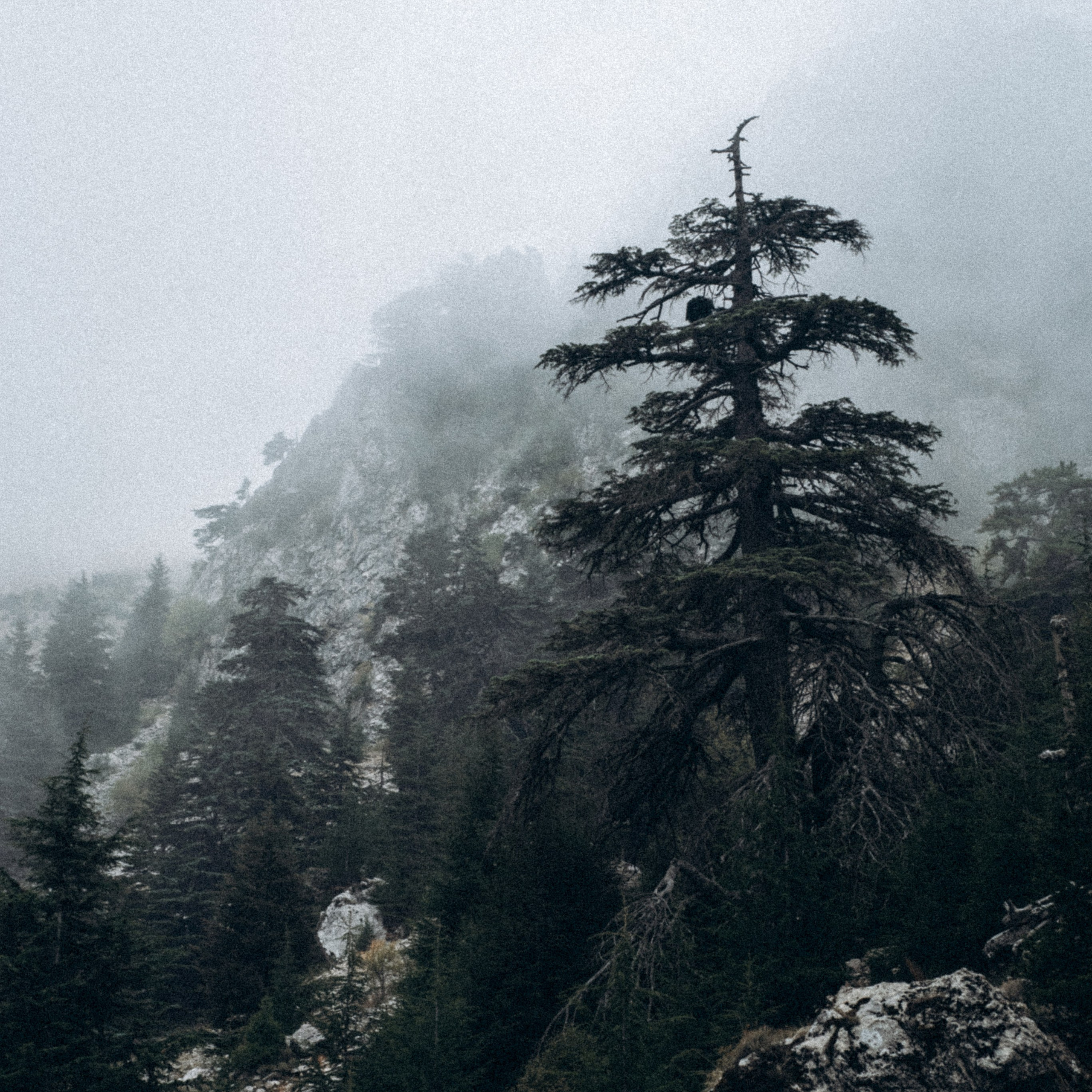 Ликийская Тропа 🇹🇷 Восточная Часть. Anita_photo