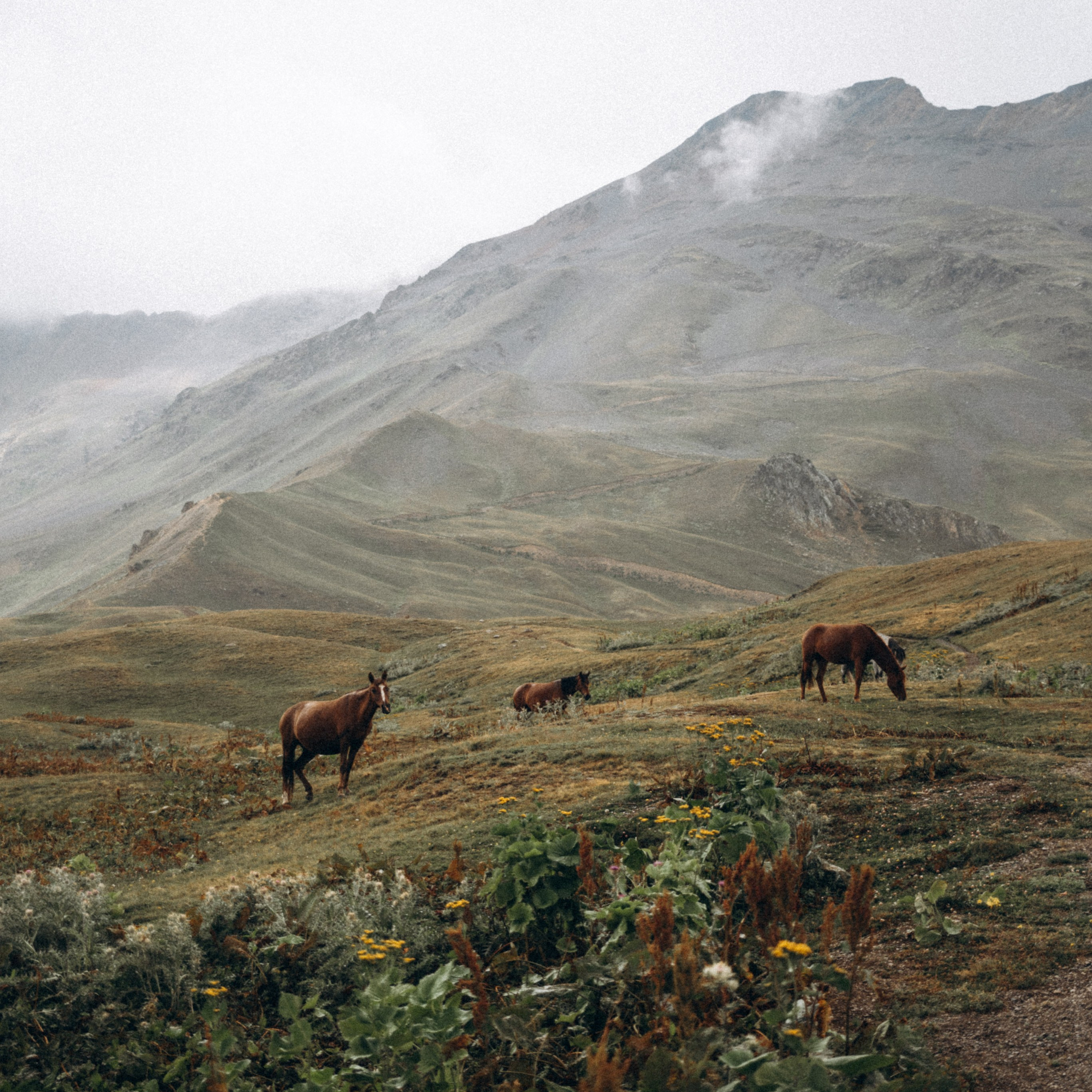 Сванетия, Грузия 🇬🇪. Anita_photo