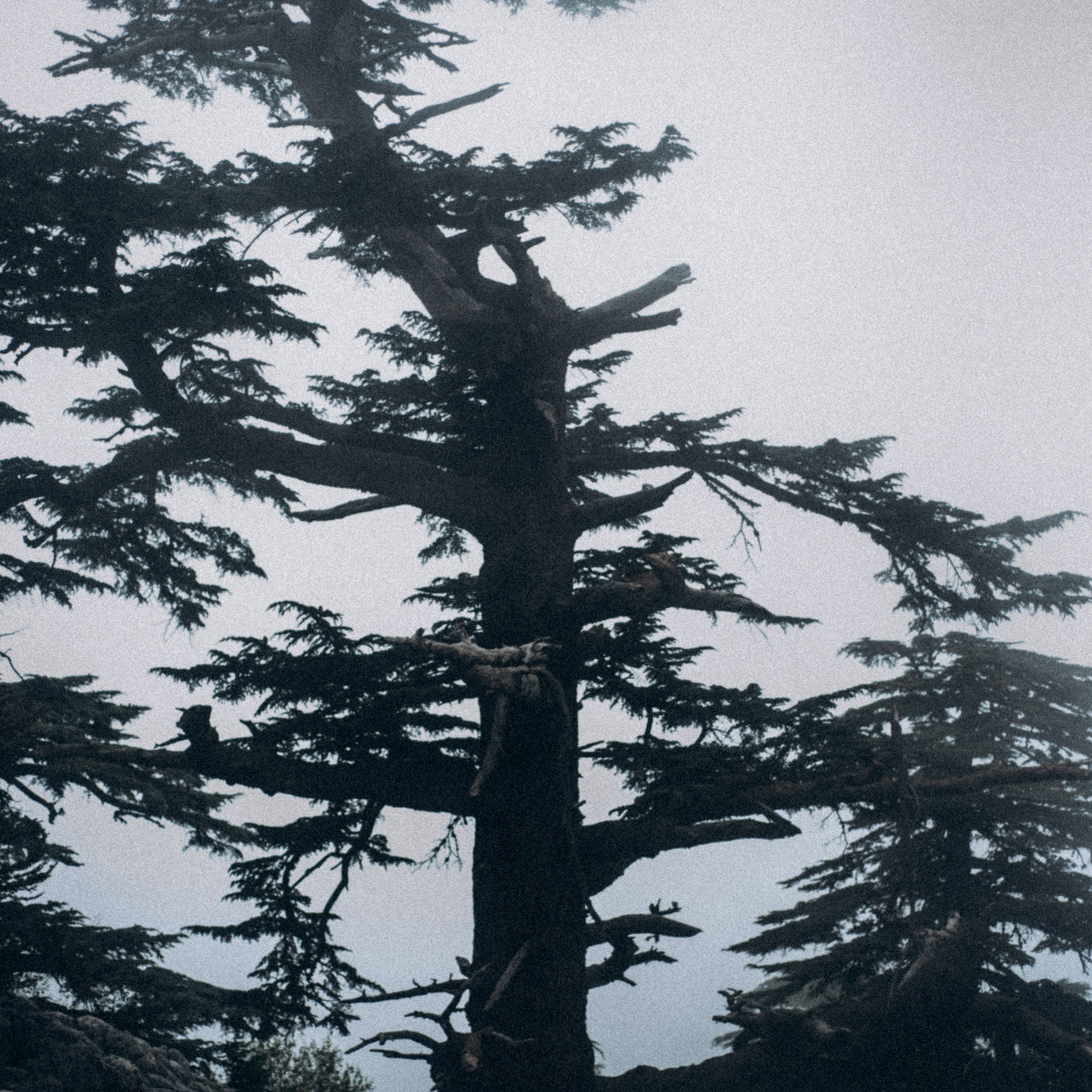 Ликийская Тропа 🇹🇷 Восточная Часть. Anita_photo