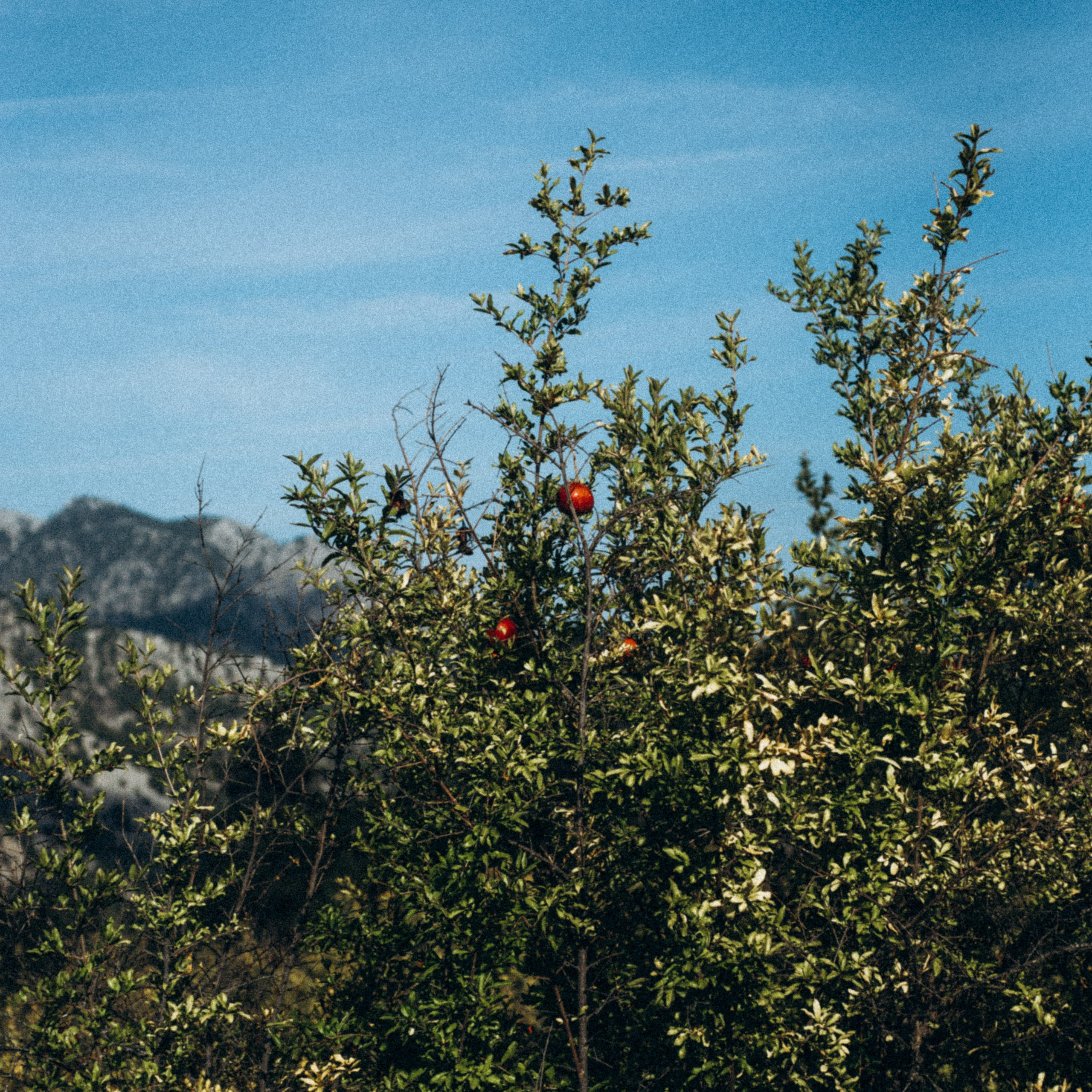 Ликийская Тропа 🇹🇷 Восточная Часть. Anita_photo