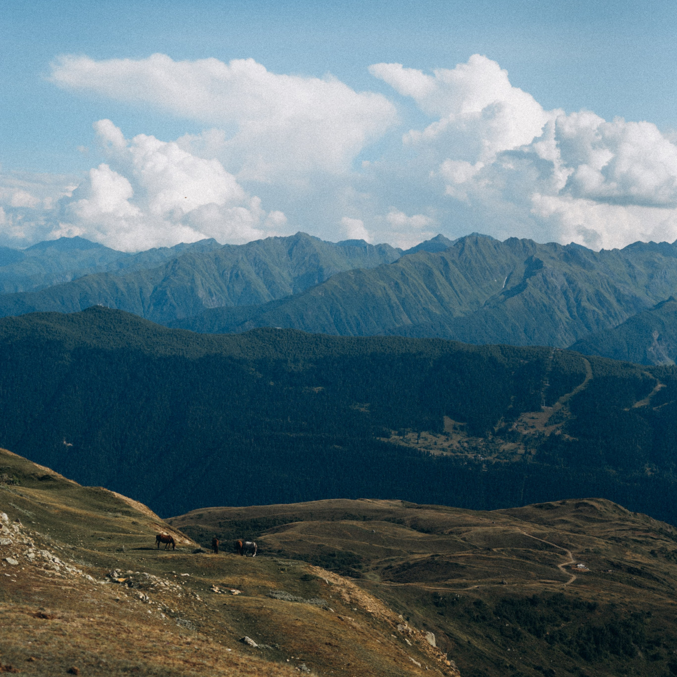 Сванетия, Грузия 🇬🇪. Anita_photo