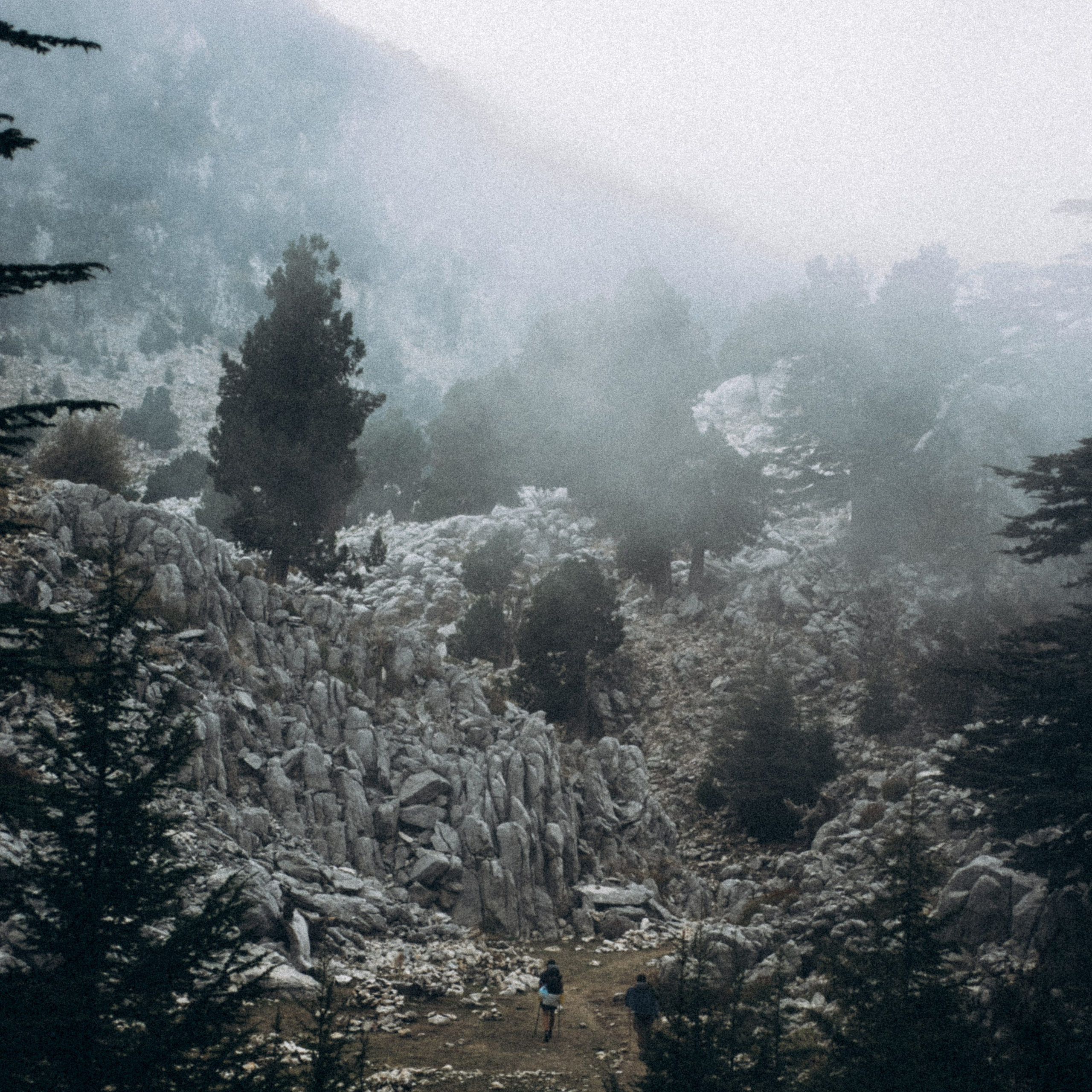 Ликийская Тропа 🇹🇷 Восточная Часть. Anita_photo