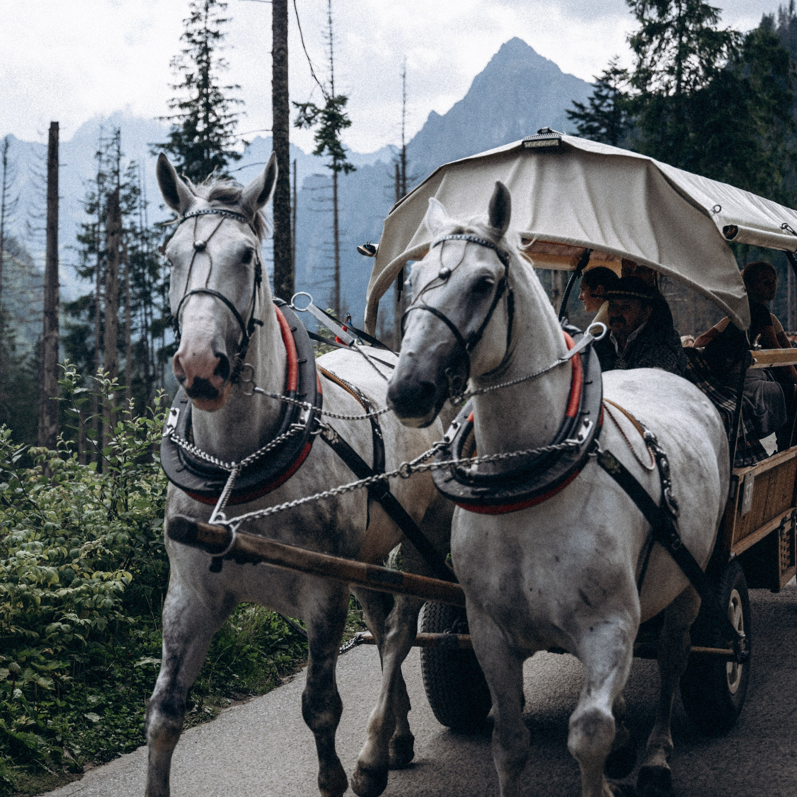 Закопаны. Anita_photo