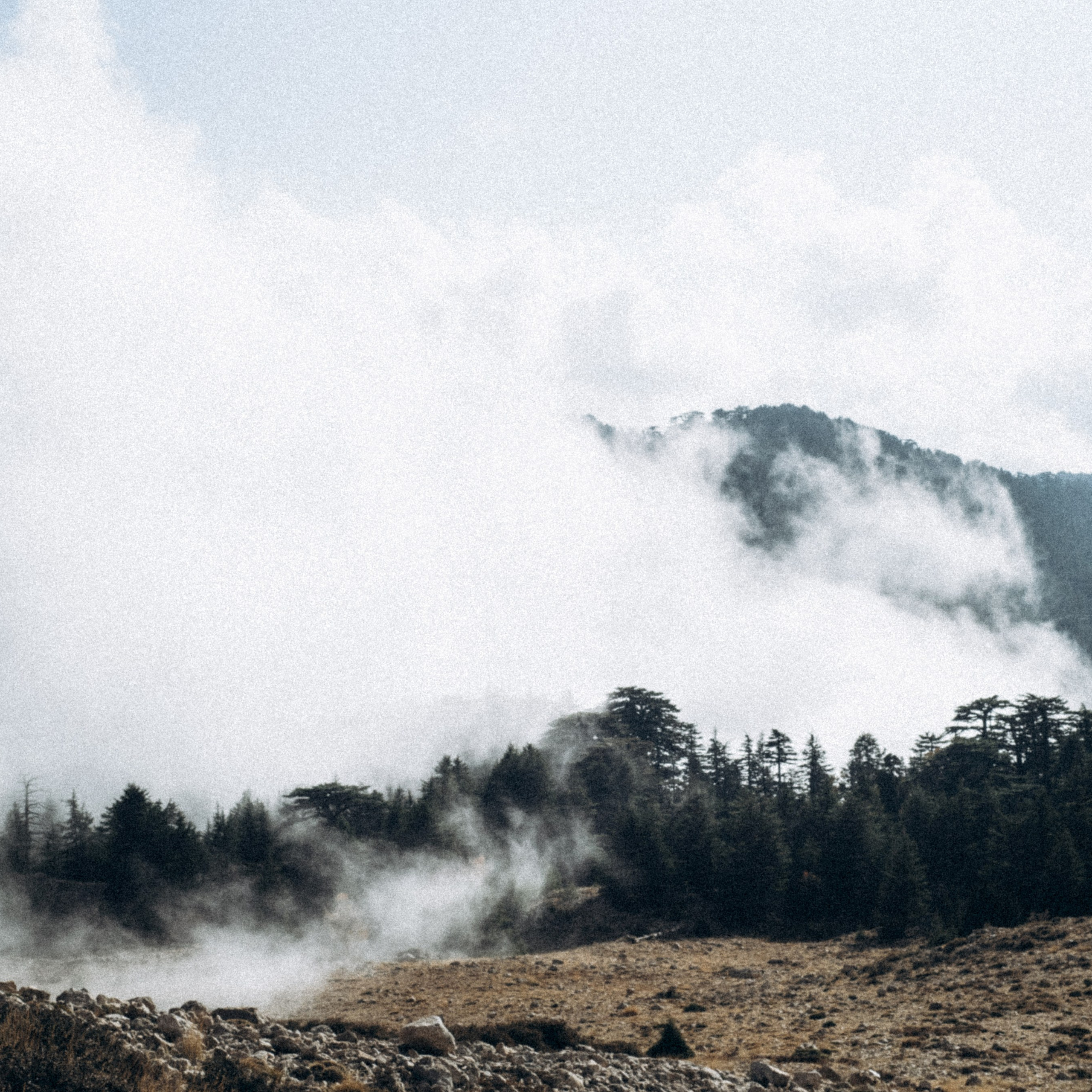 Ликийская Тропа 🇹🇷 Восточная Часть. Anita_photo