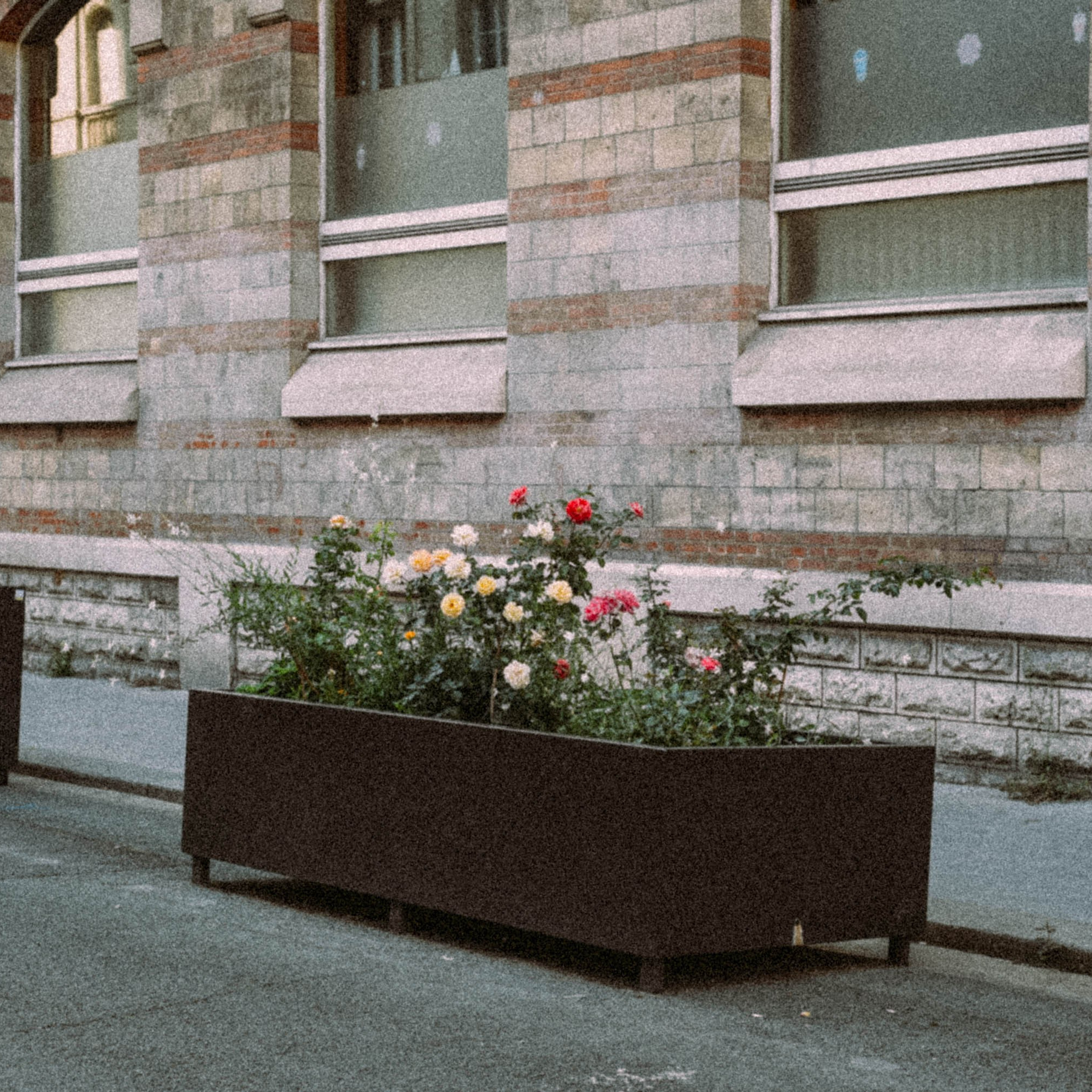 Париж, Франция 2025. Anita_photo