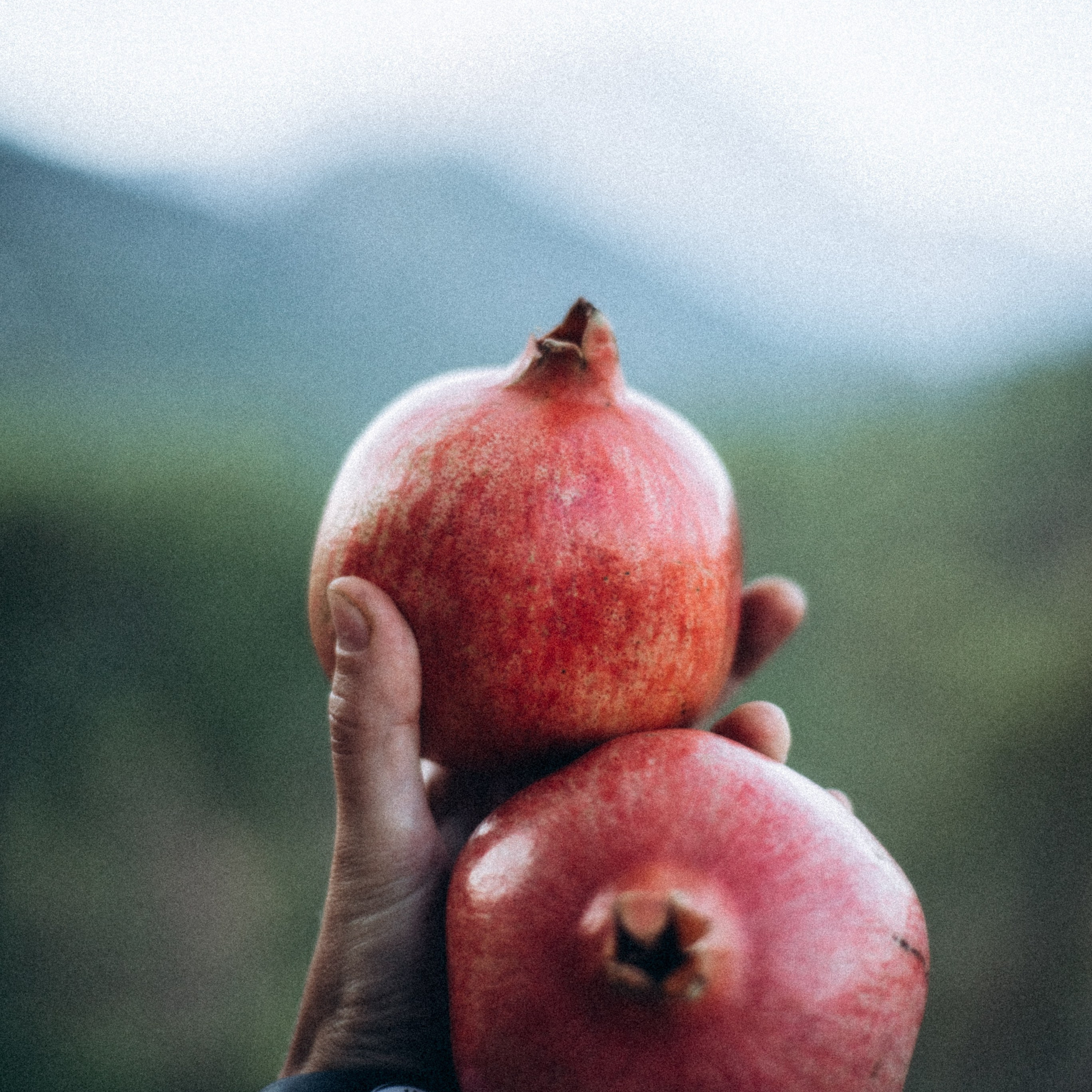 Ликийская Тропа 🇹🇷 Восточная Часть. Anita_photo