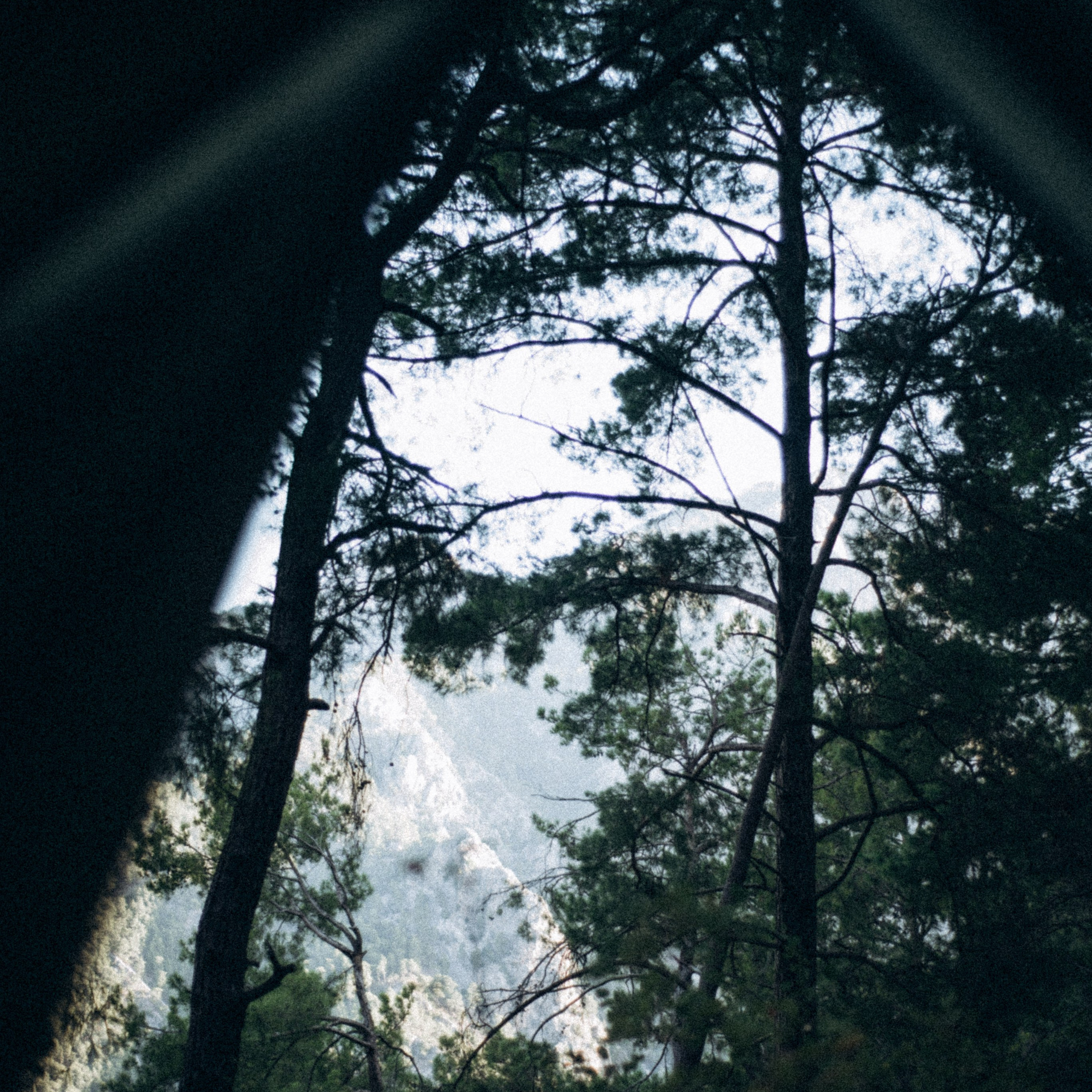 Ликийская Тропа 🇹🇷 Восточная Часть. Anita_photo