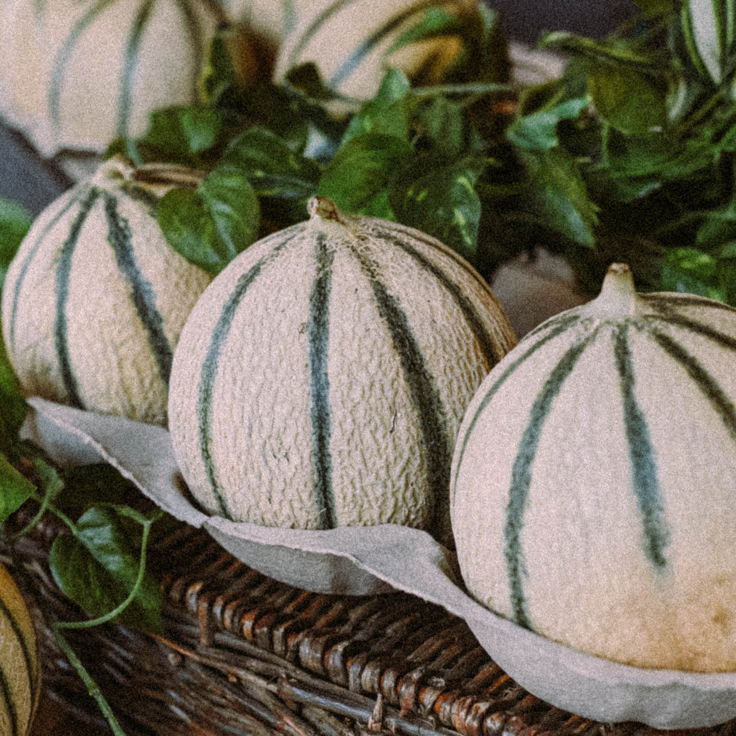 Нормандия, Франция 2025. Anita_photo