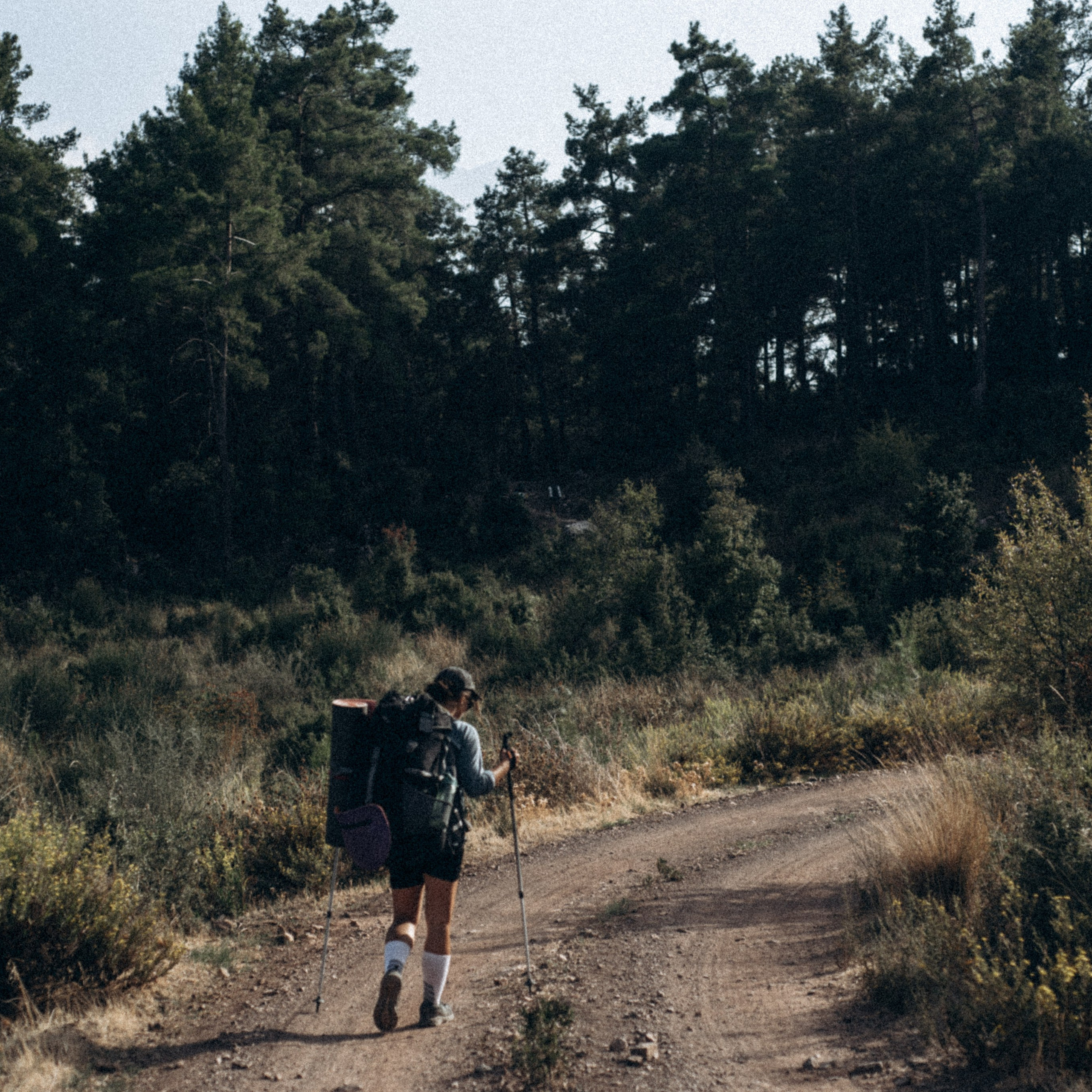 Ликийская Тропа 🇹🇷 Восточная Часть. Anita_photo
