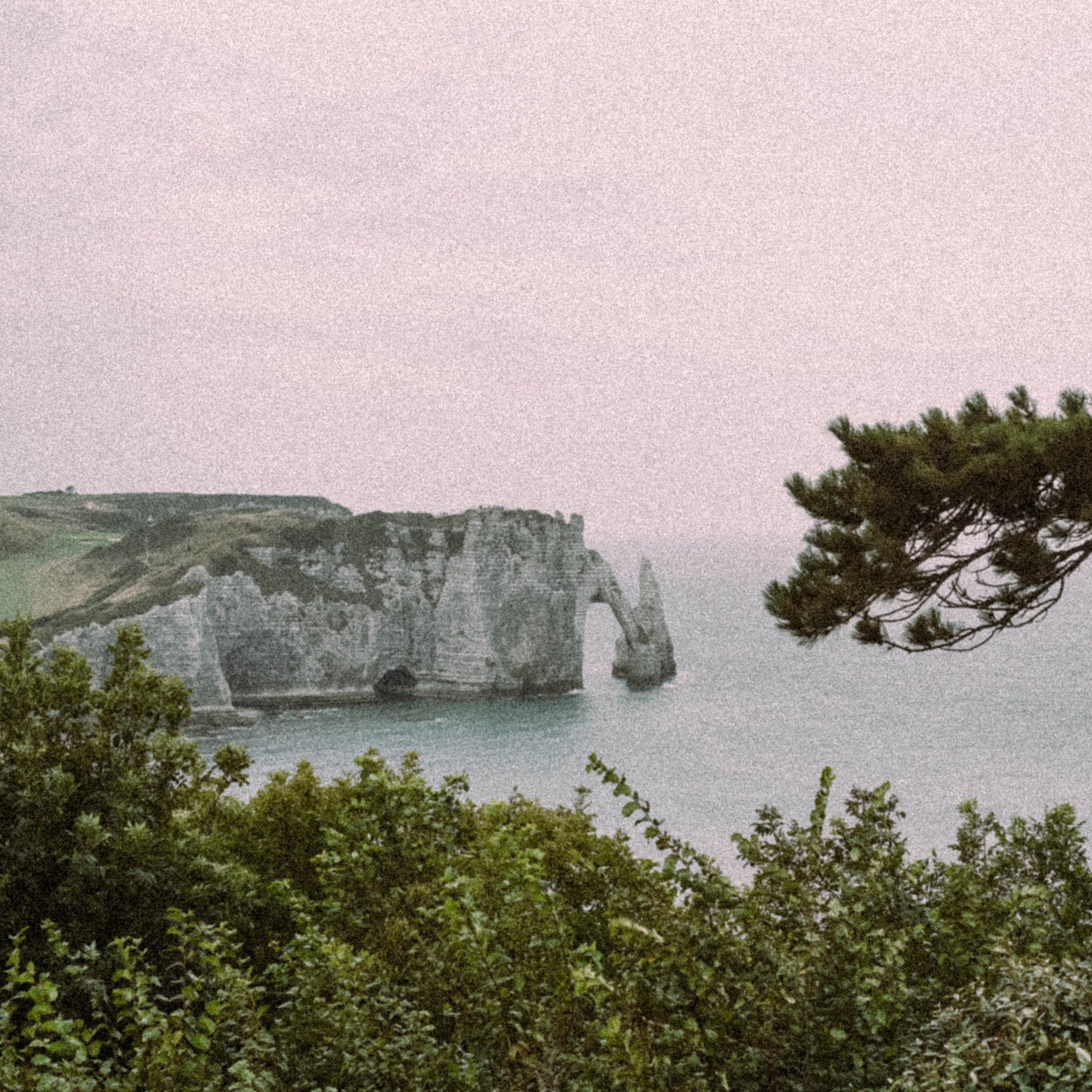 Нормандия, Франция 2025. Anita_photo