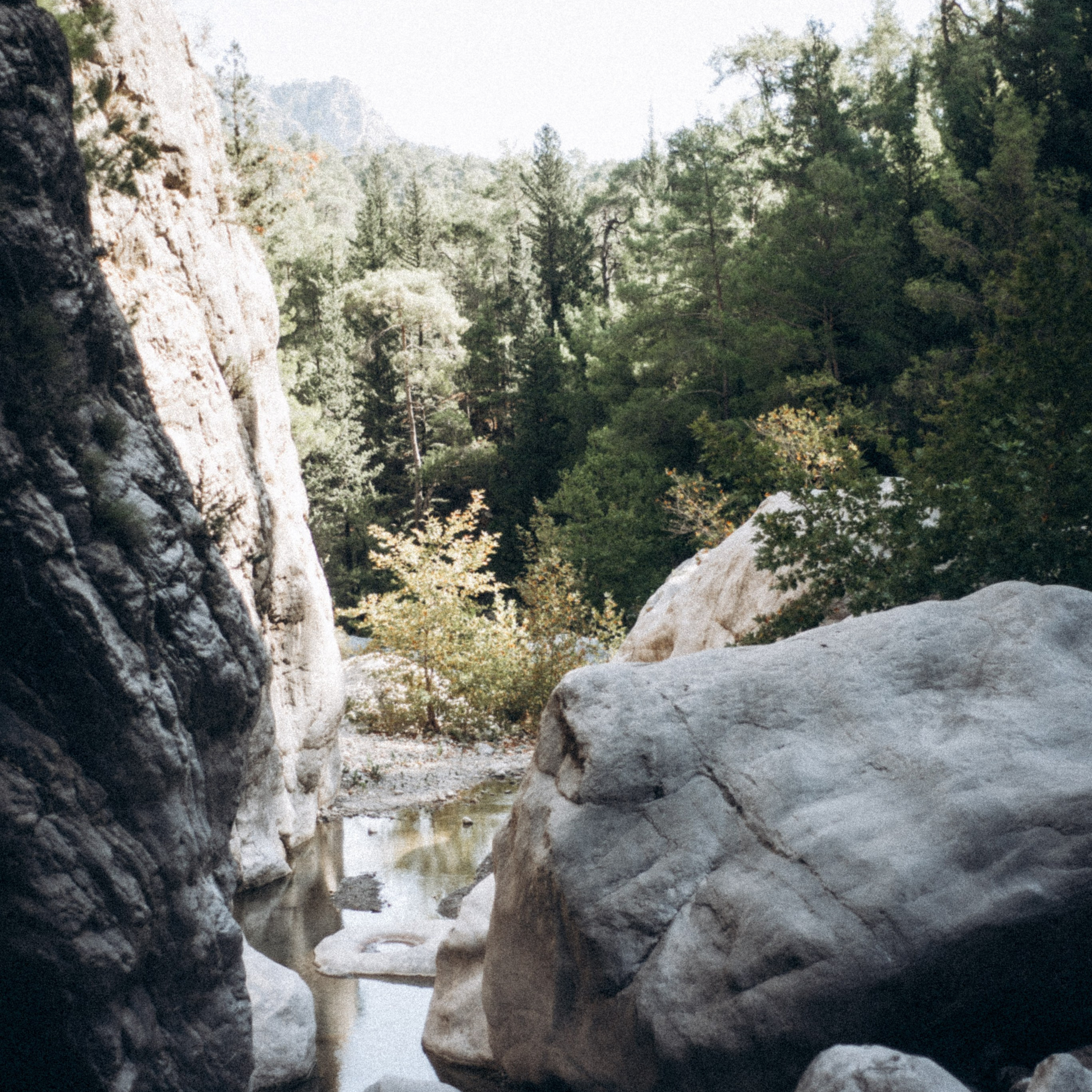 Ликийская Тропа 🇹🇷 Восточная Часть. Anita_photo