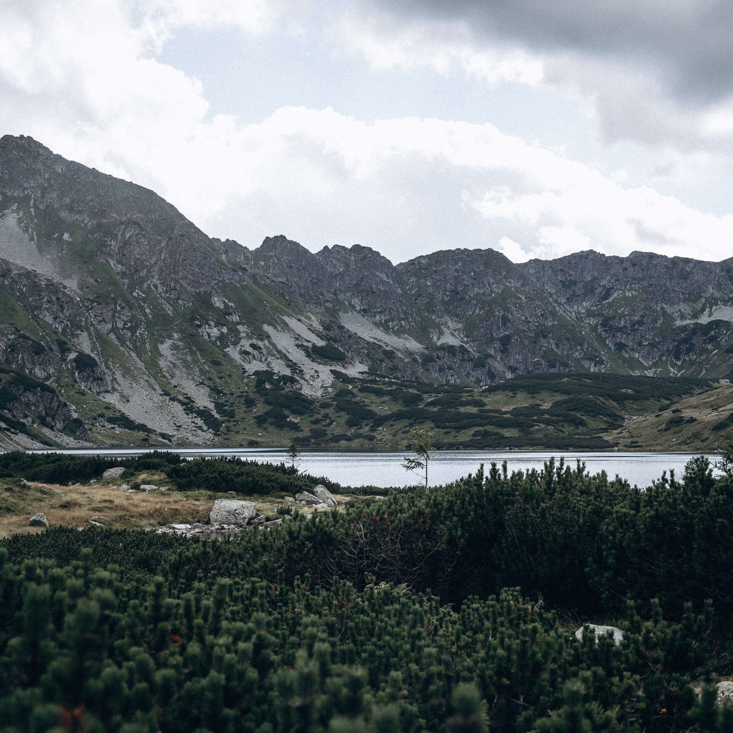 Закопаны. Anita_photo