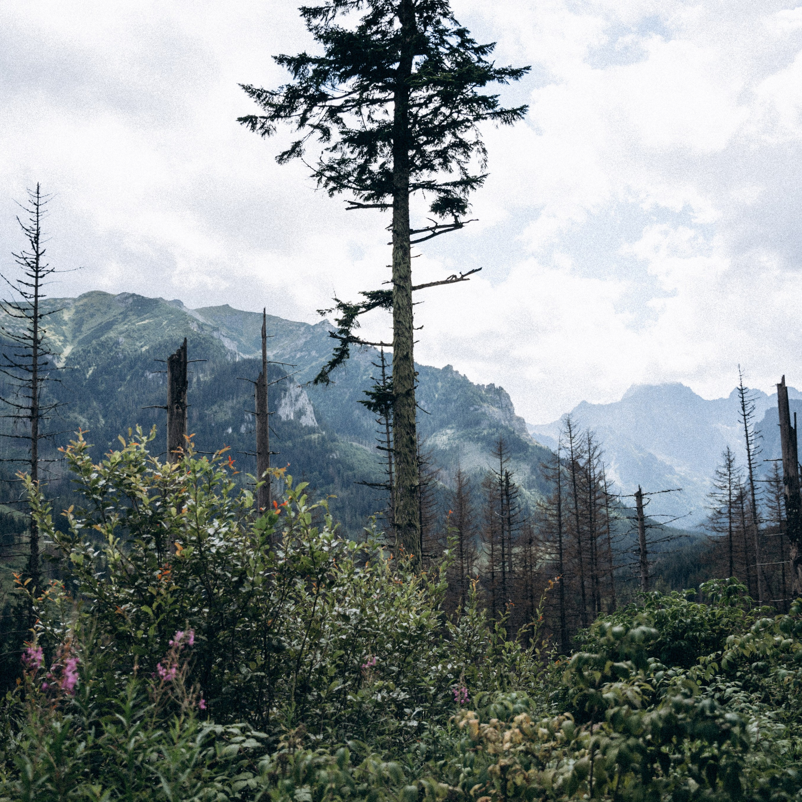 Закопаны. Anita_photo