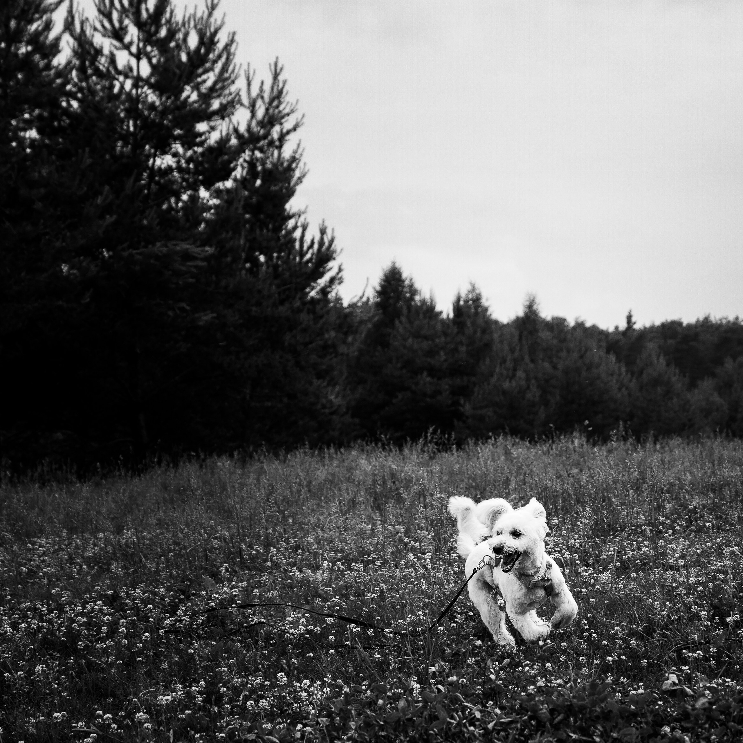 Анастасия и Айви. Фотограф Кэтрин.Филм