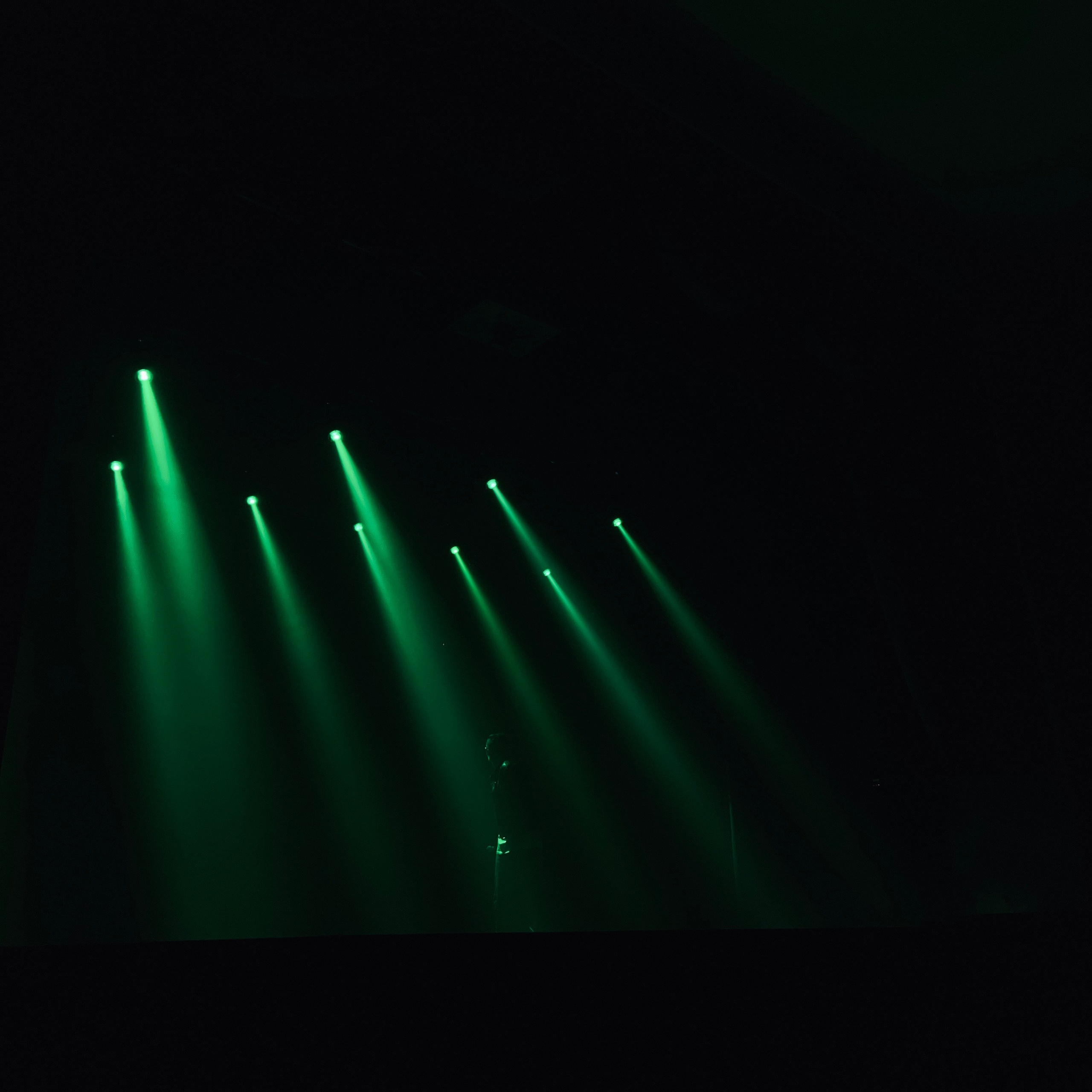 Бэк с репетиции концерта. Видеомейкер и фотограф Кэтрин.Филм