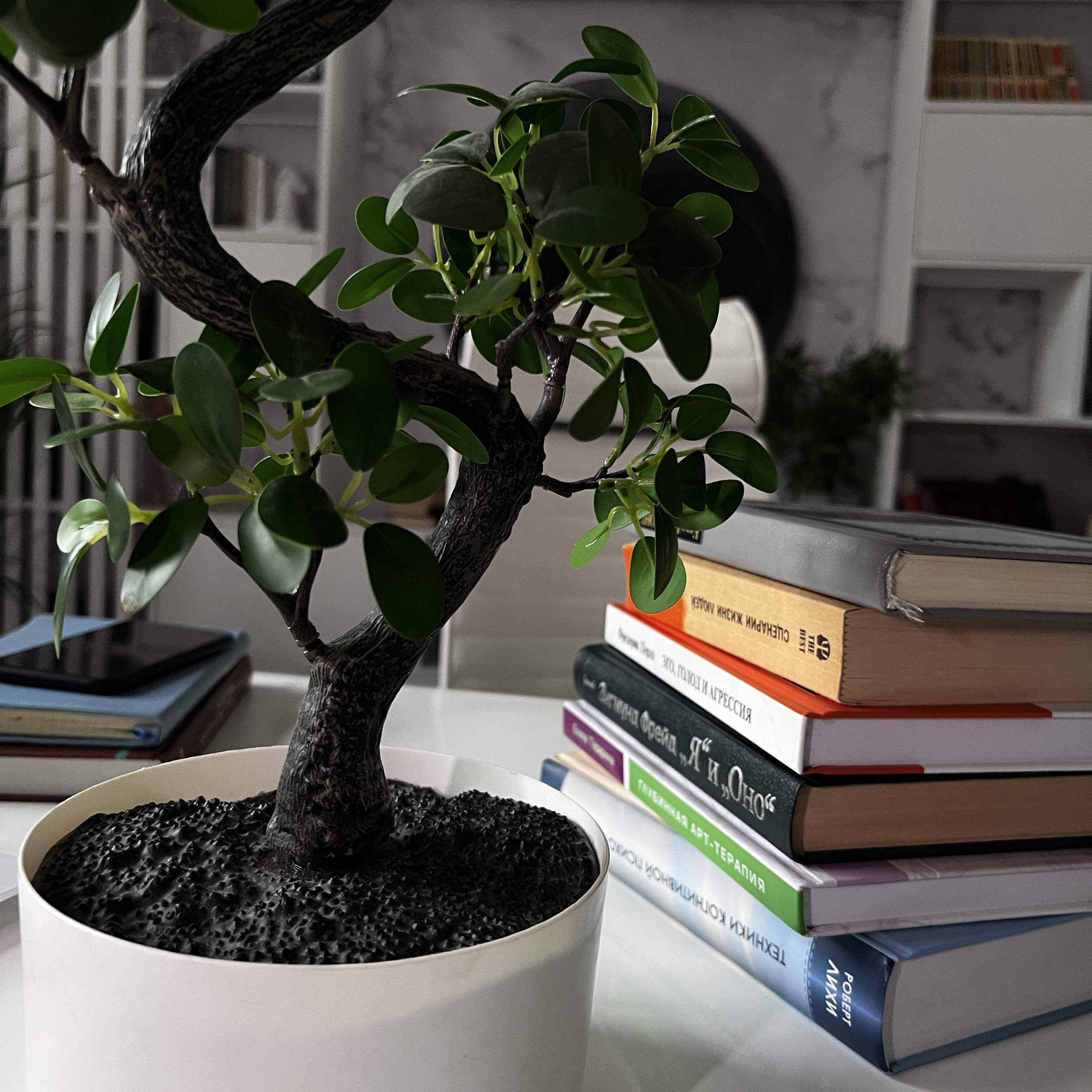 Контент-съемка для Психолога. Видеомейкер и фотограф Кэтрин.Филм