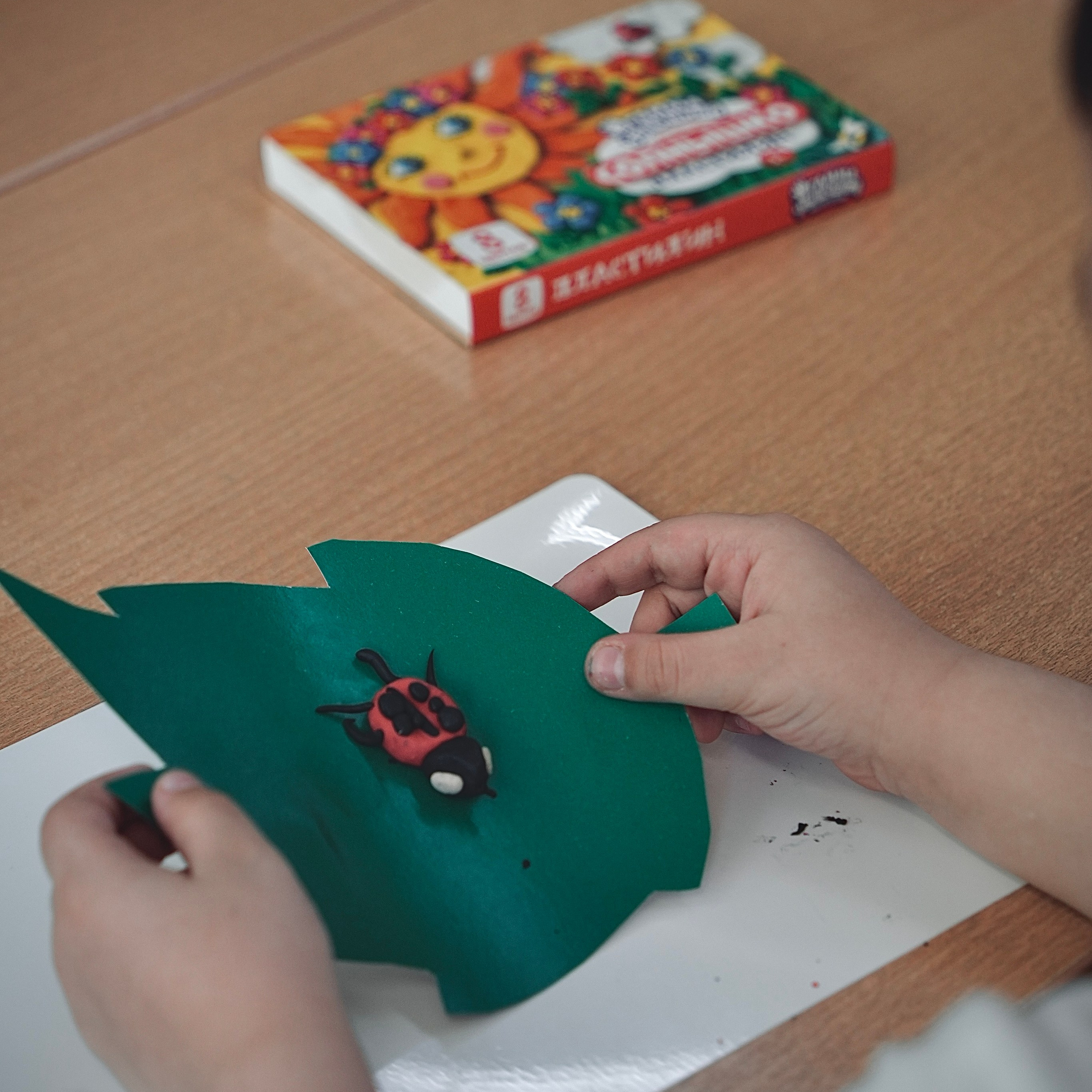 Детский и семейный фотограф. Видеомейкер и фотограф Кэтрин.Филм