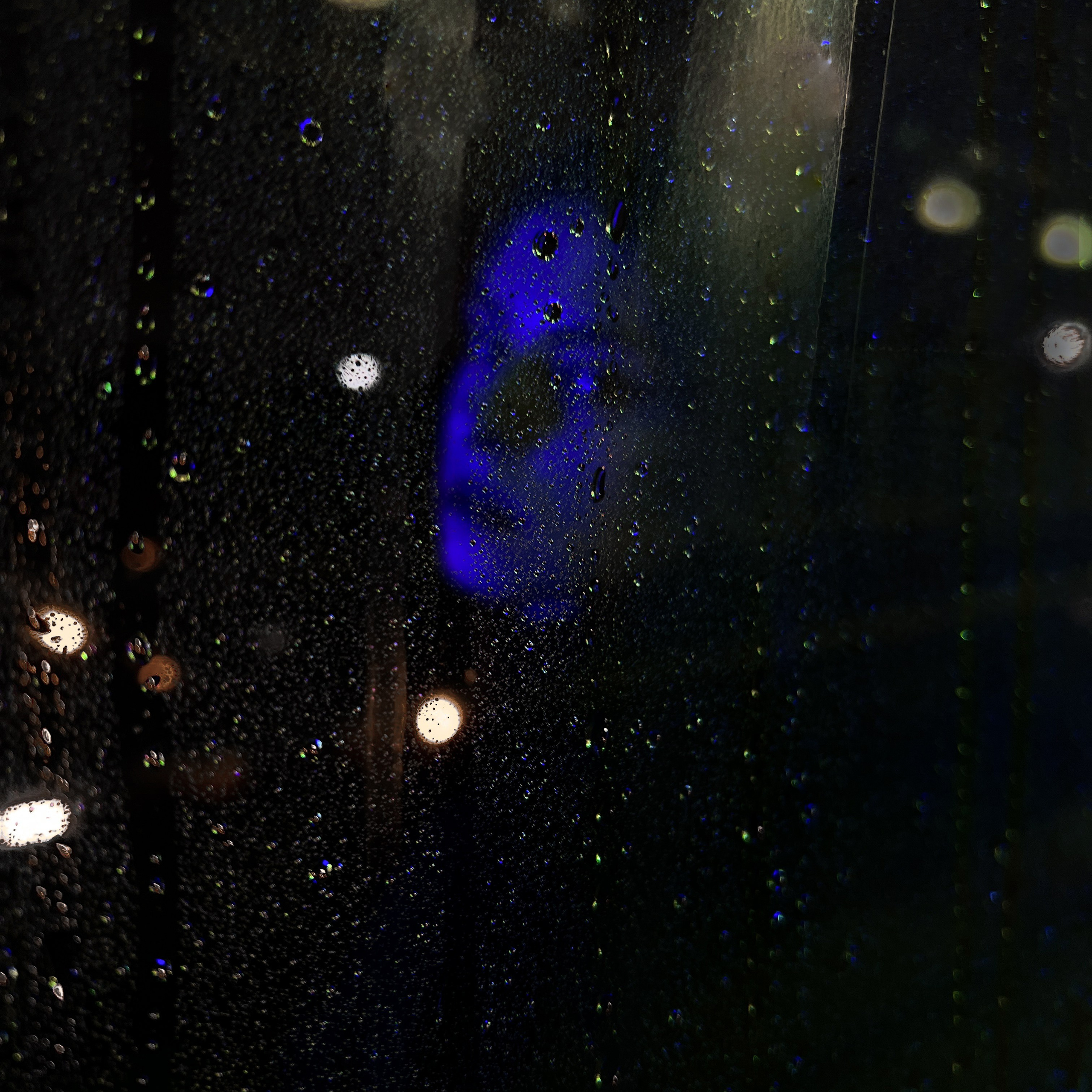 Мария. Андреевский мост. Видеомейкер и фотограф Кэтрин.Филм