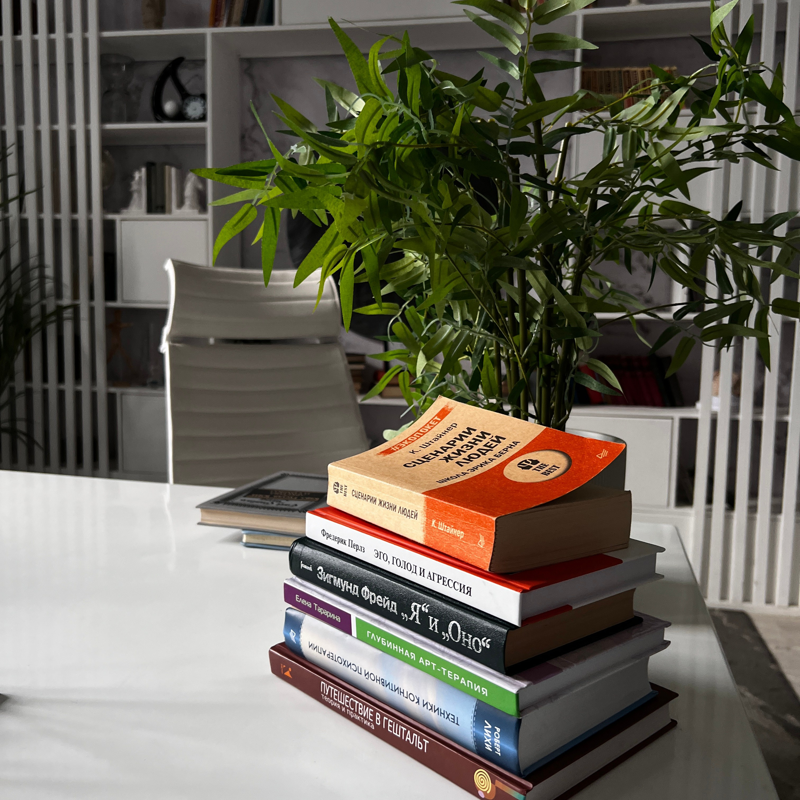 Контент-съемка для Психолога. Видеомейкер и фотограф Кэтрин.Филм