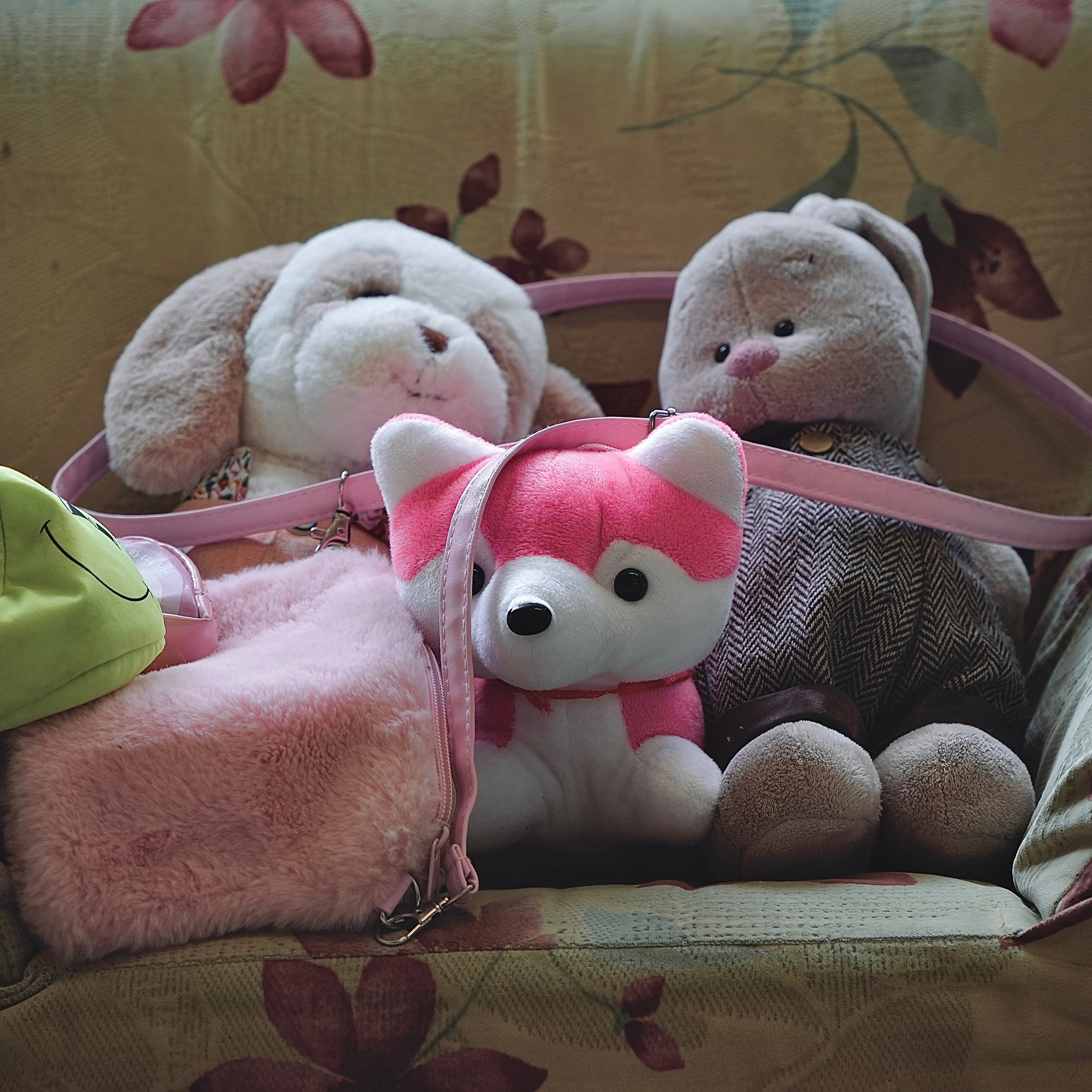 Детский и семейный фотограф. Видеомейкер и фотограф Кэтрин.Филм