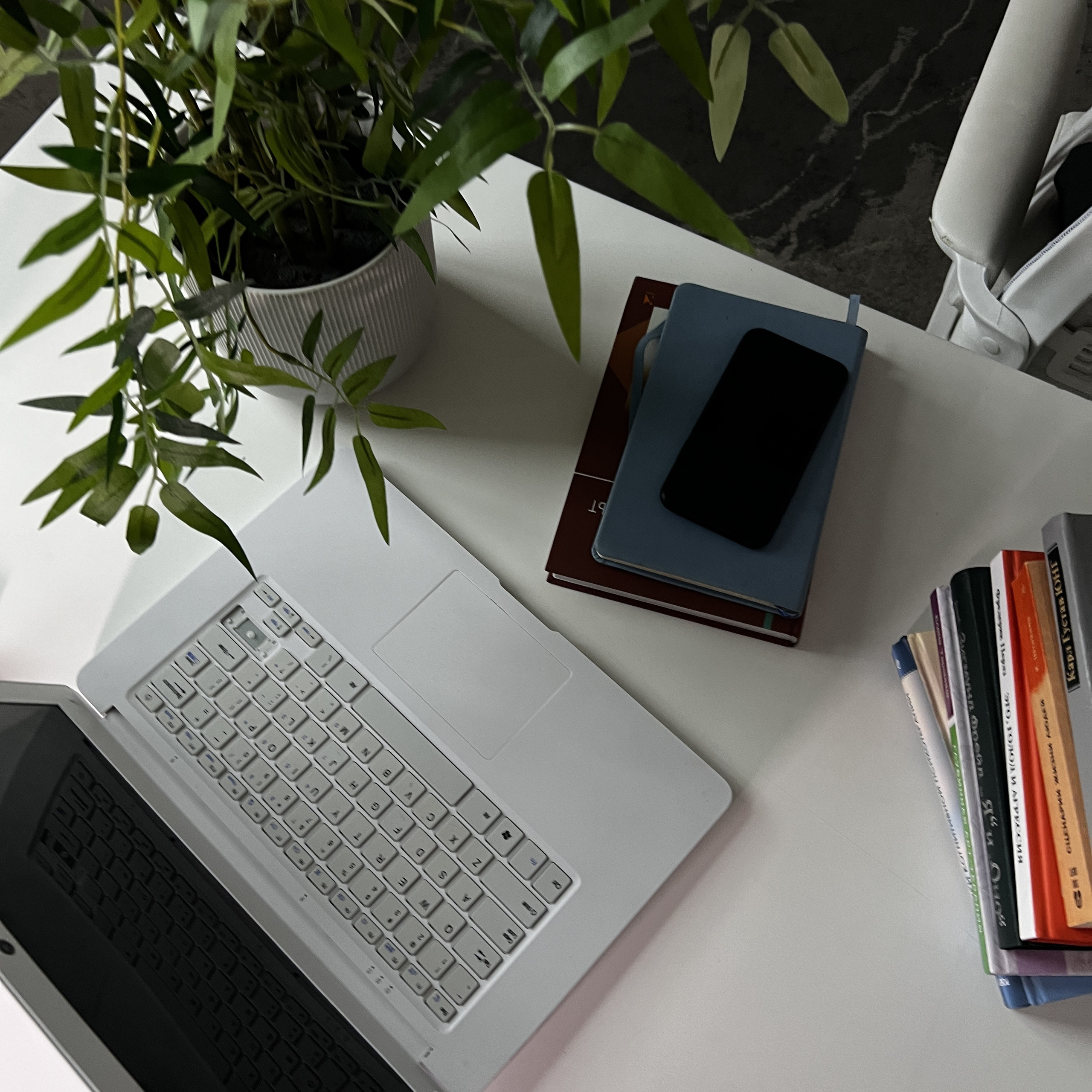 Контент-съемка для Психолога. Видеомейкер и фотограф Кэтрин.Филм