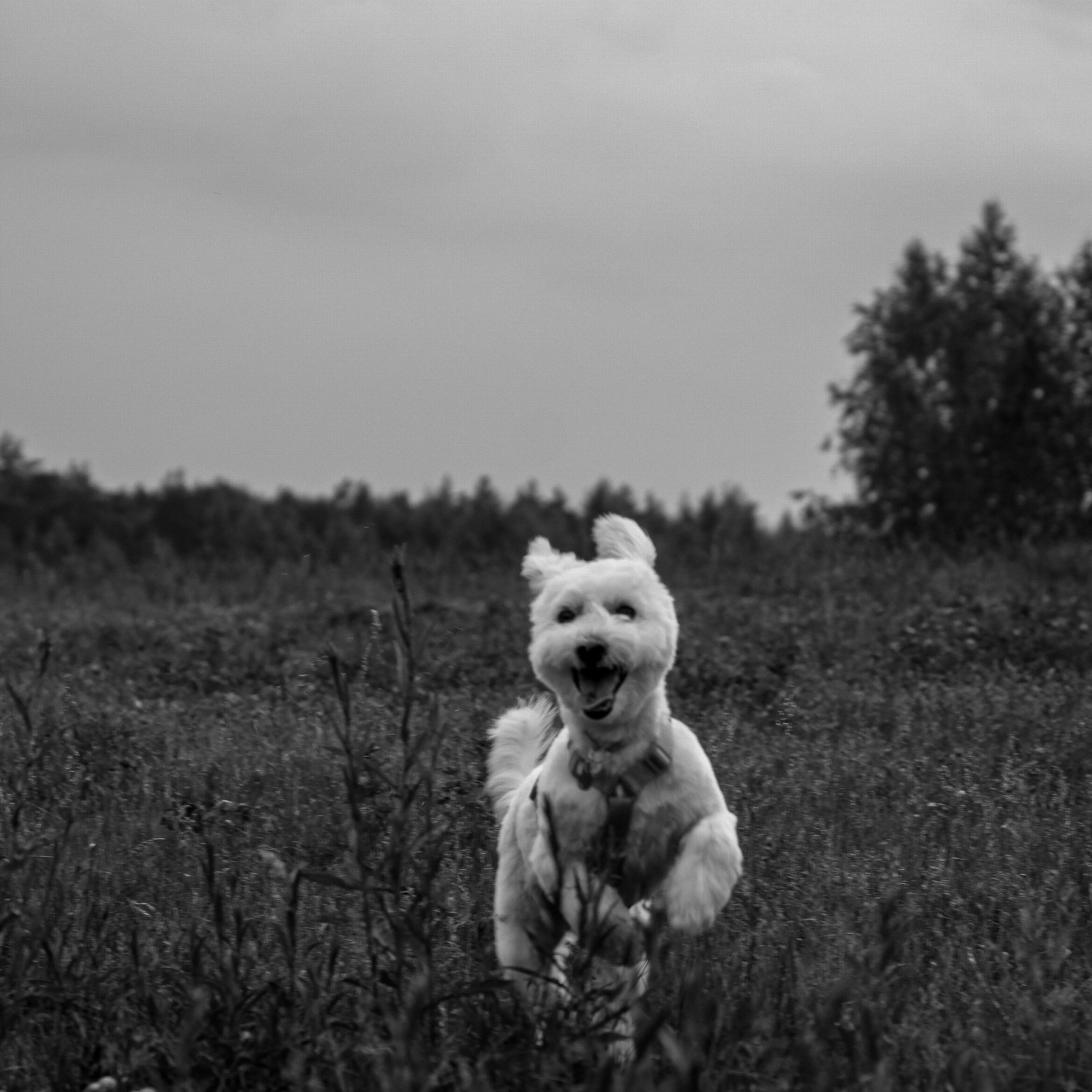Анастасия и Айви. Фотограф Кэтрин.Филм