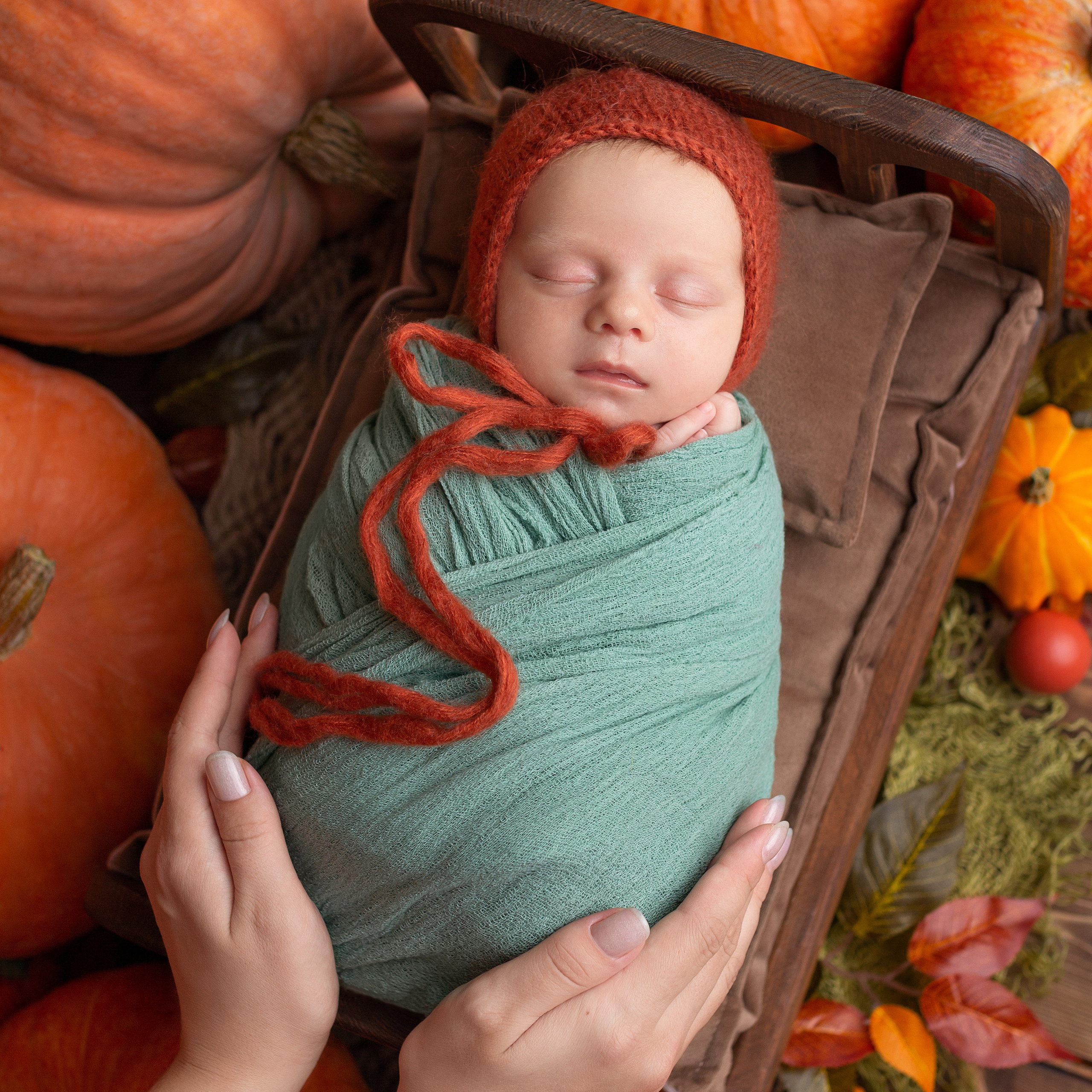 Егор 22 дня (пакет мини)