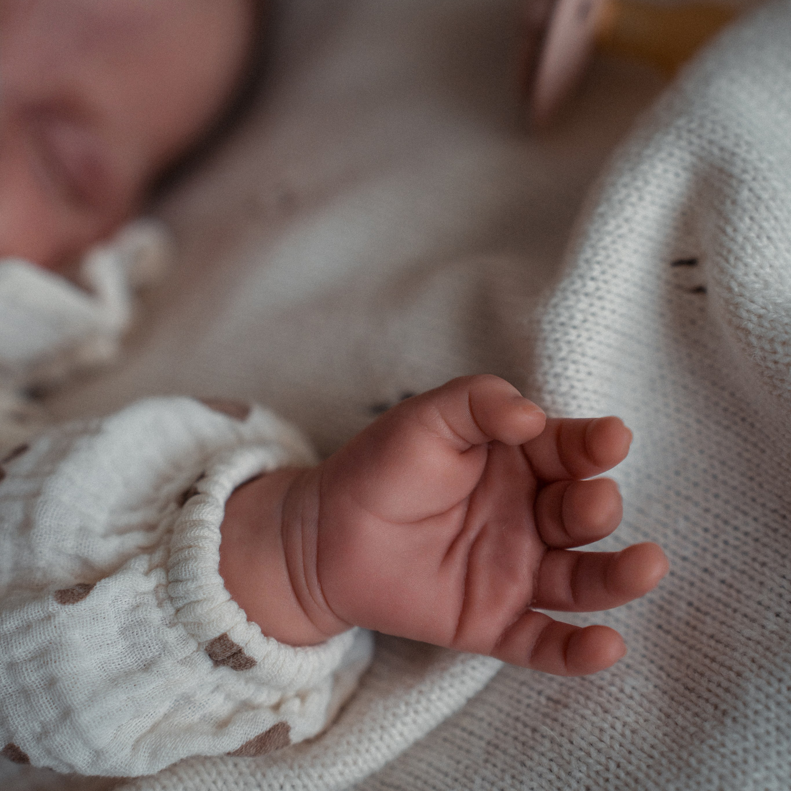 Услуги. Фотограф в Севастополе — Ольга Максименко