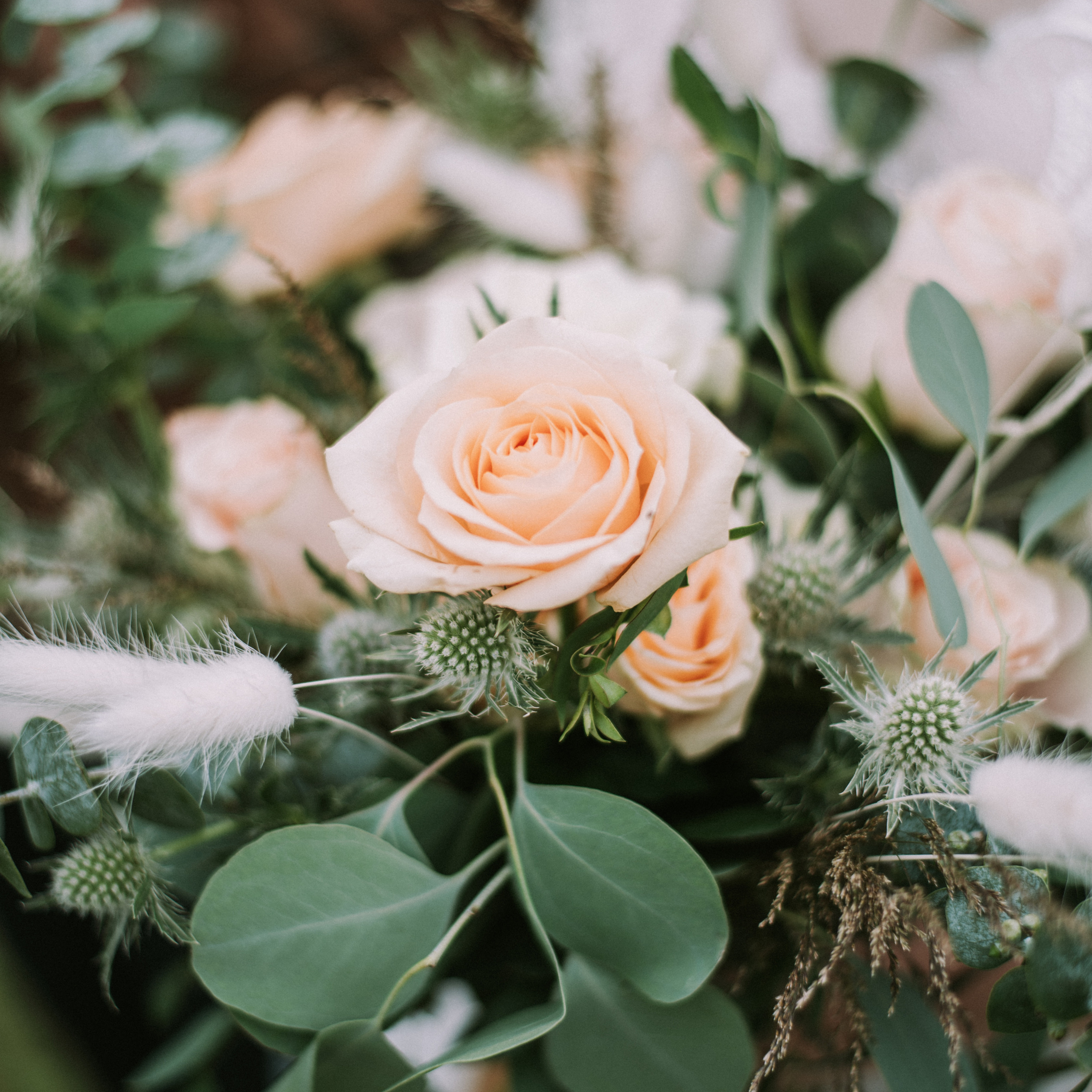 Услуги. Фотограф в Севастополе — Ольга Максименко