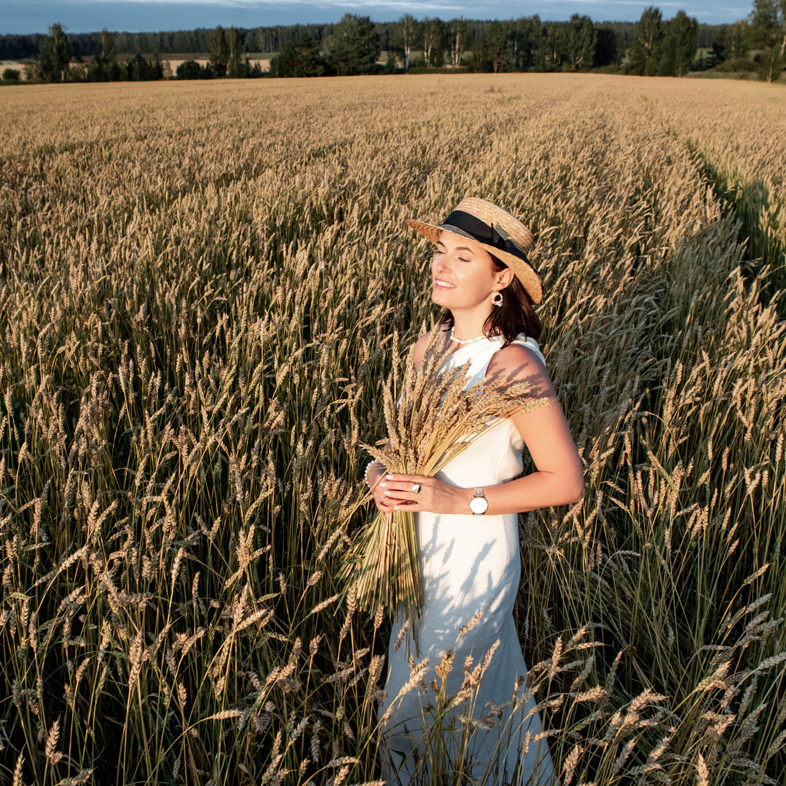 Пшеница на закате