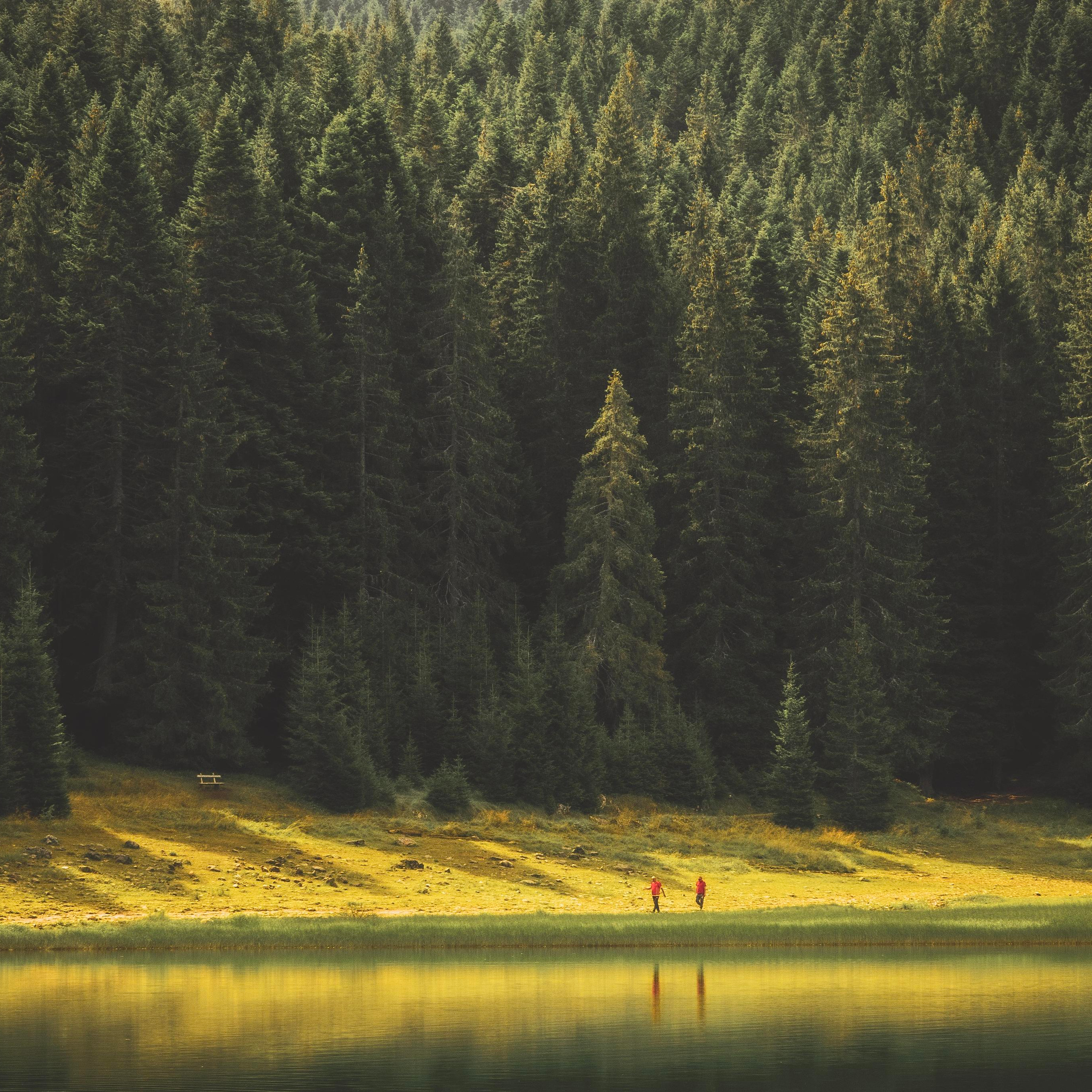 Природа и пейзаж