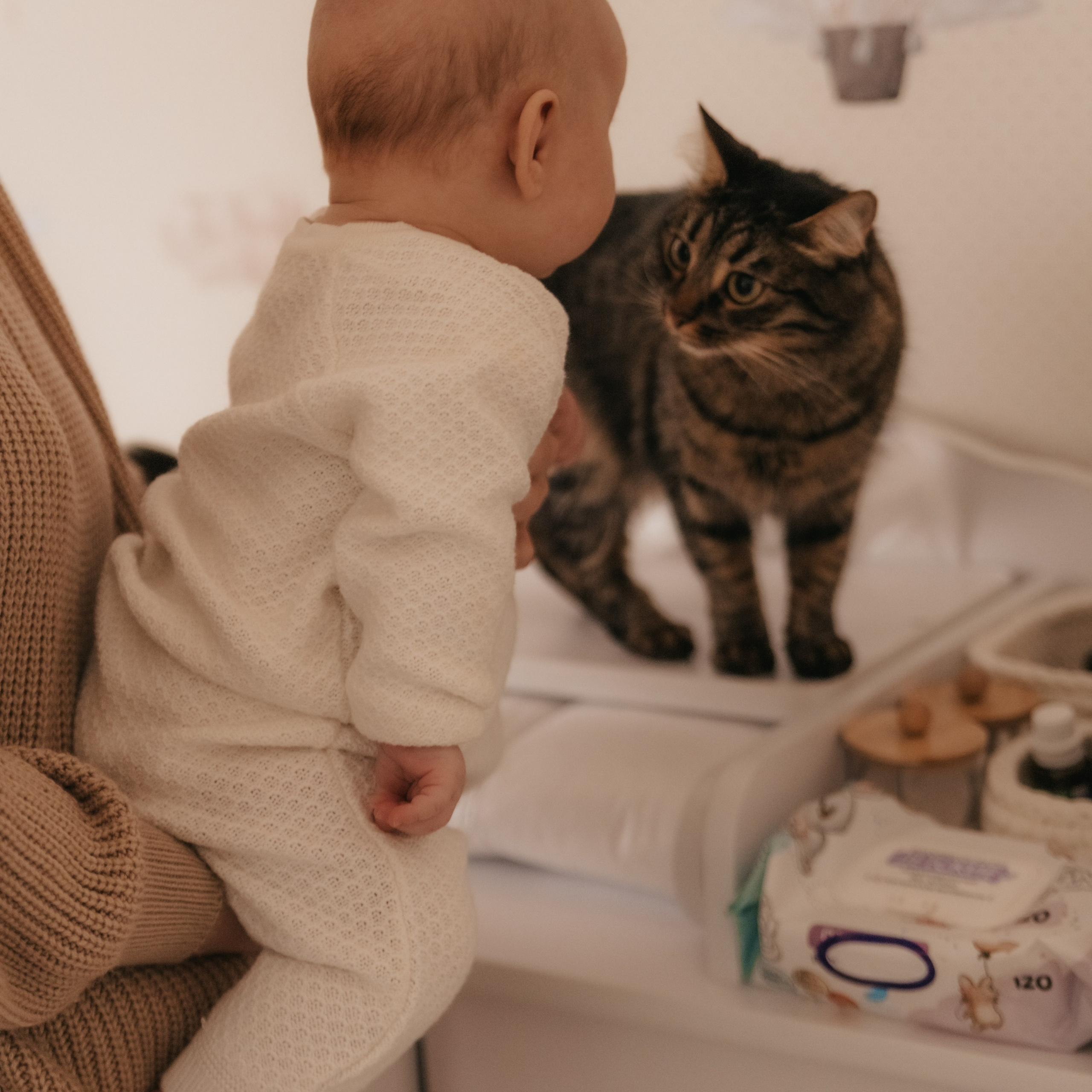 Домашняя семейная история. Фотограф Дарья Пудовкина Москва, Московская область