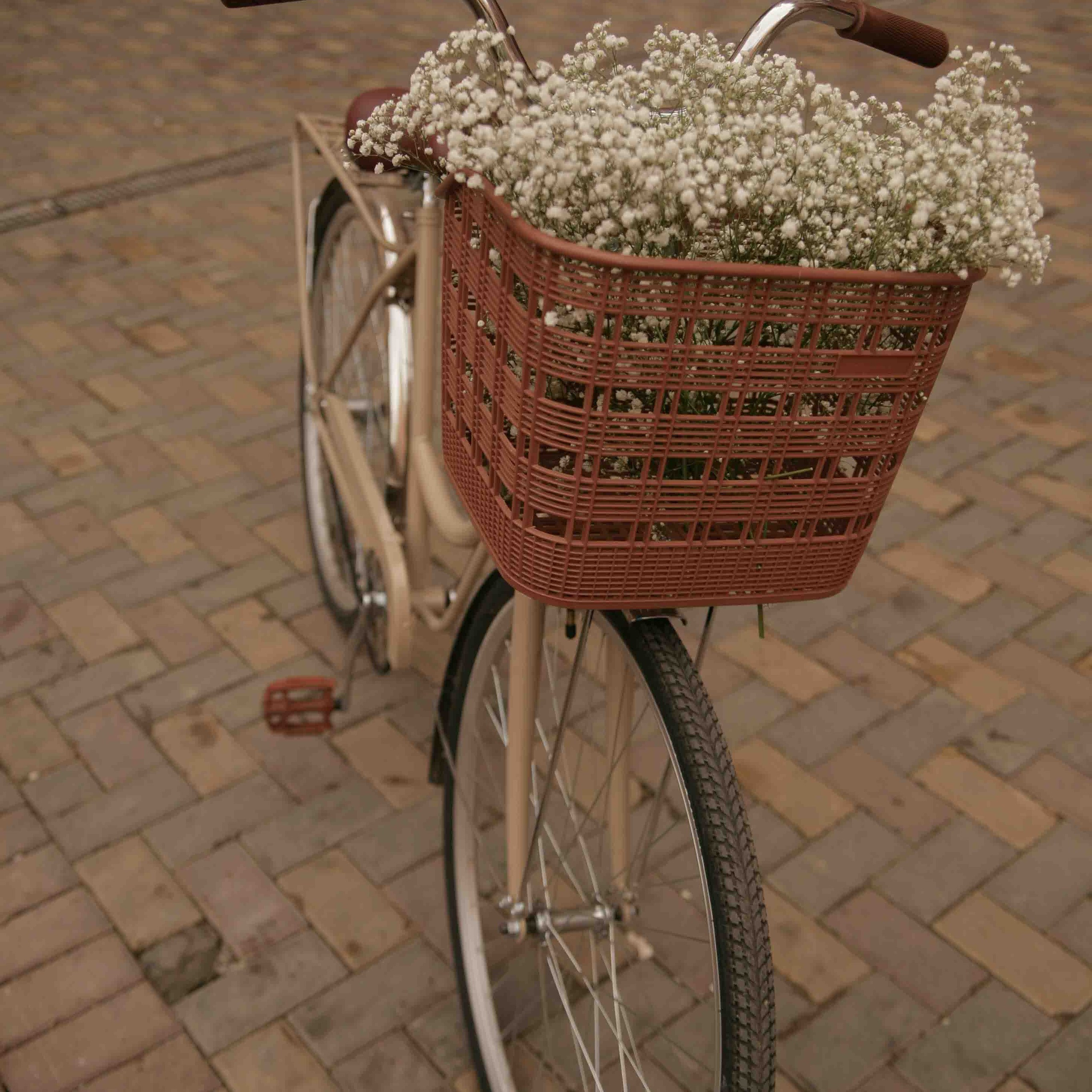 Прогулка Кристины и Алисы. Фотограф Дарья Пудовкина Москва, Московская область