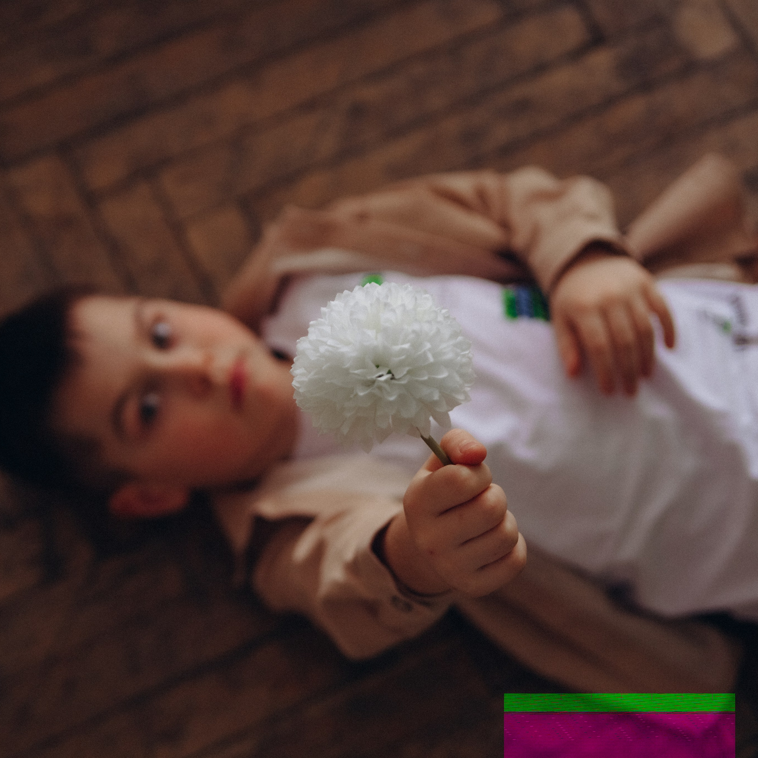 Платон. Фотограф Дарья Пудовкина Москва, Московская область