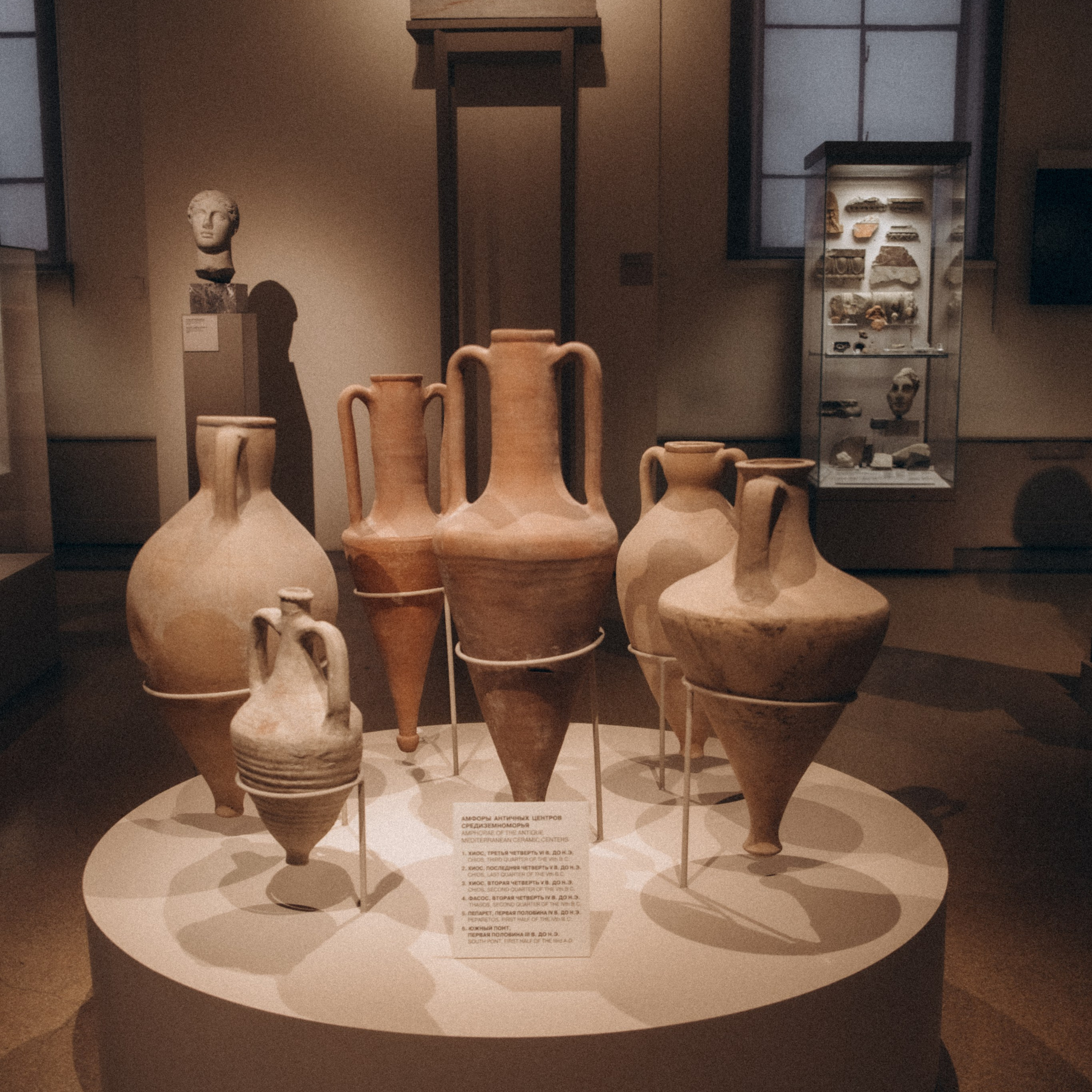 Поход в музей А. С. Пушкина. Фотограф Дарья Пудовкина Москва, Московская область