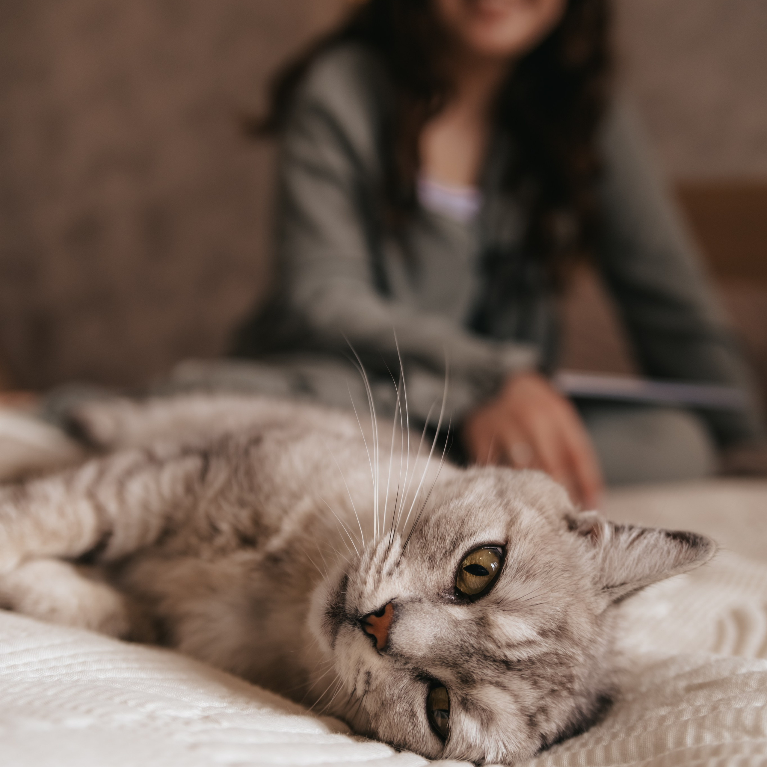 Домашняя история семьи Тимошки. Фотограф Дарья Пудовкина Москва, Московская область