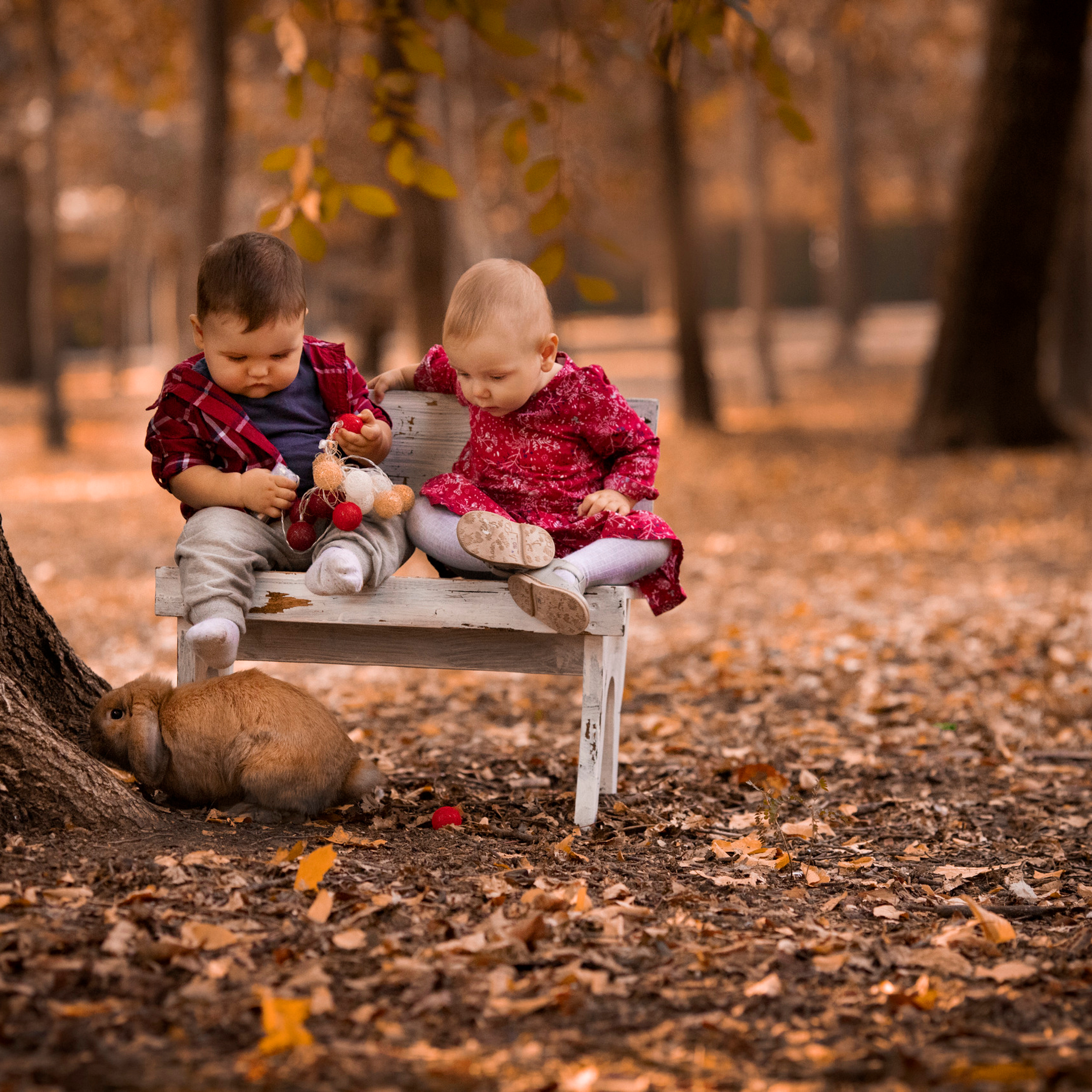 Отзывы. Детский и семейный фотограф в Краснодаре