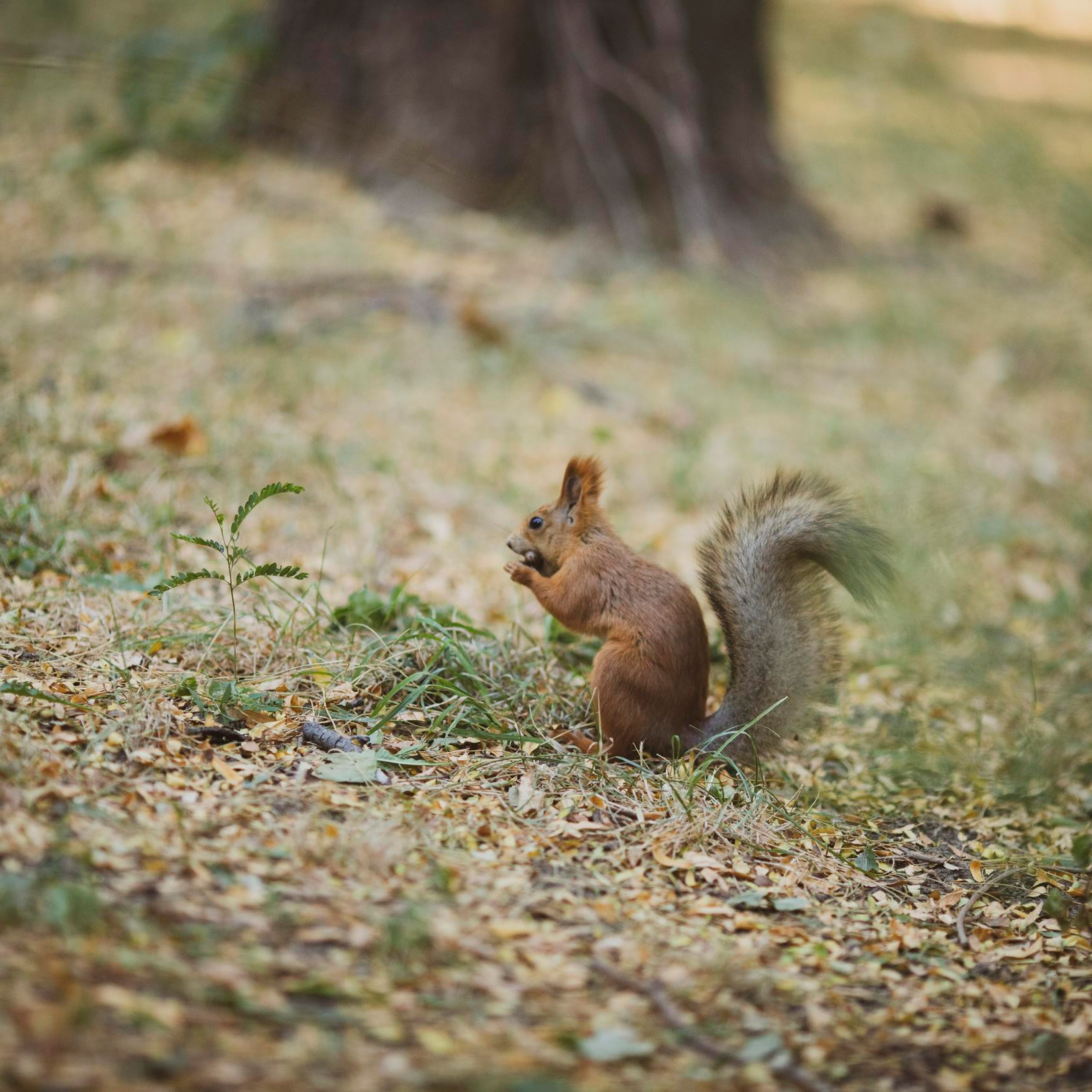 Отзывы. Детский и семейный фотограф в Краснодаре